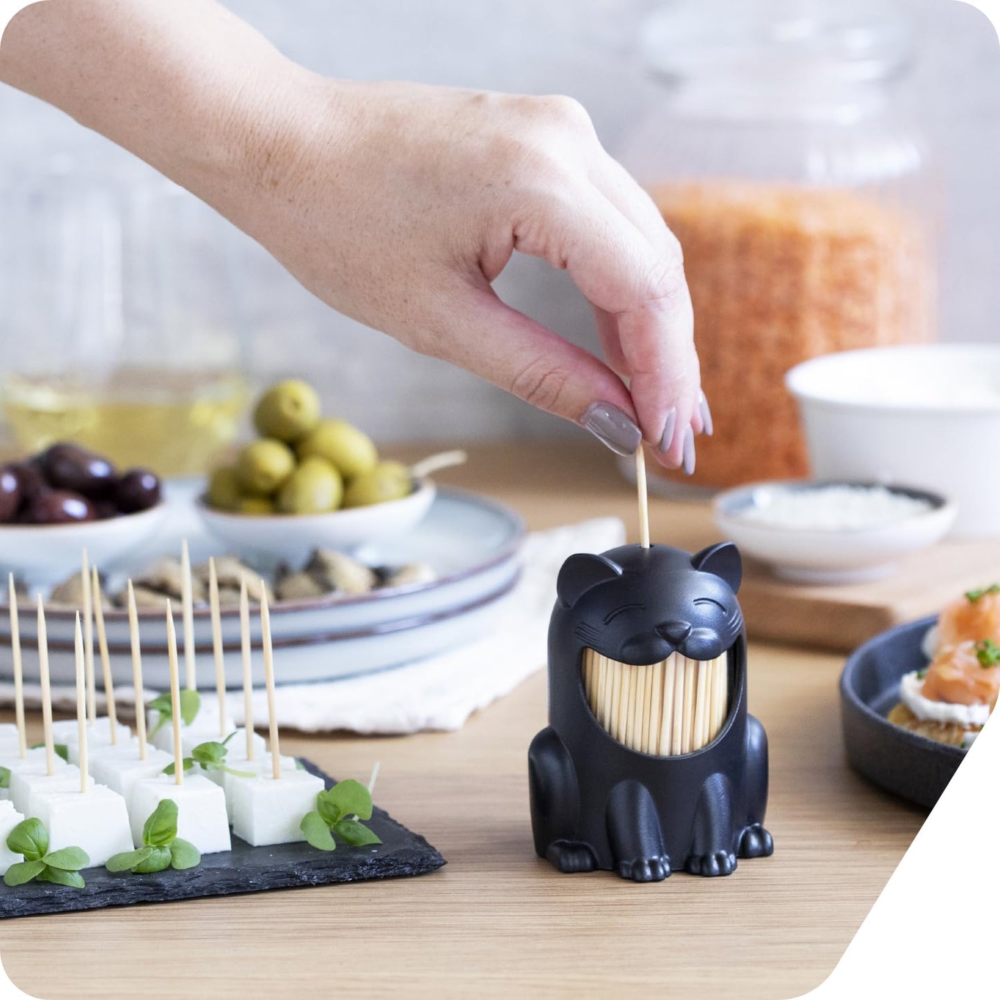 PELEG DESIGN Toothpick Holder - Playful Toothpick Dispenser, Fun and Decorative Plastic Toothpick Holder for Easy Access During Meals or Gatherings (Pickitty)