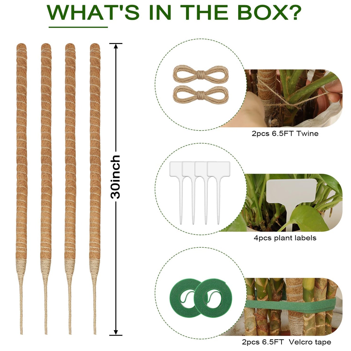Deergo 4Pack 30 Inch Bendable Moss Pole for Plants Monstera, Coco Coir Plant Support Pole for Small Climbing Plants Grow Up