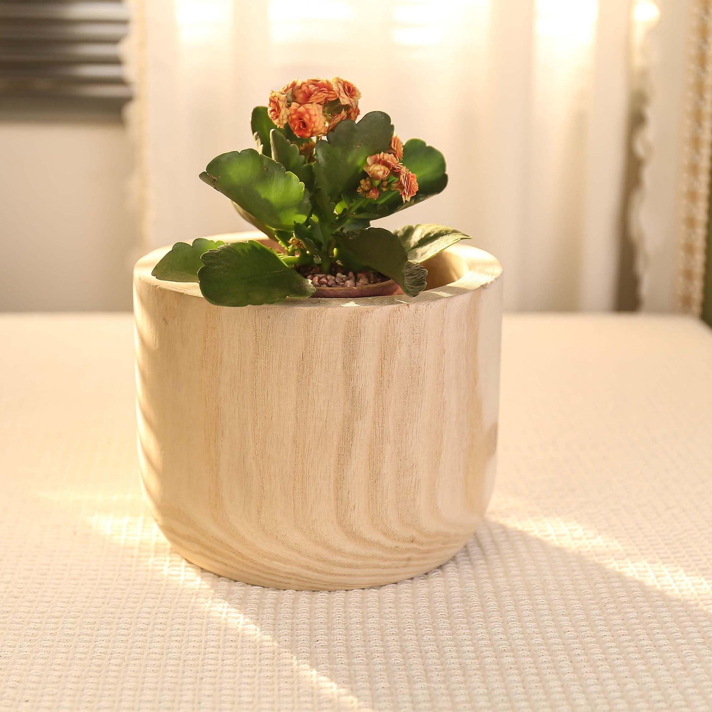 CYS EXCEL 8.25'' Natural Cylinder Planter Lightweight Natural Wood Cachepot for Indoor Plants, Succulents, Herbs, Home & Office Decor