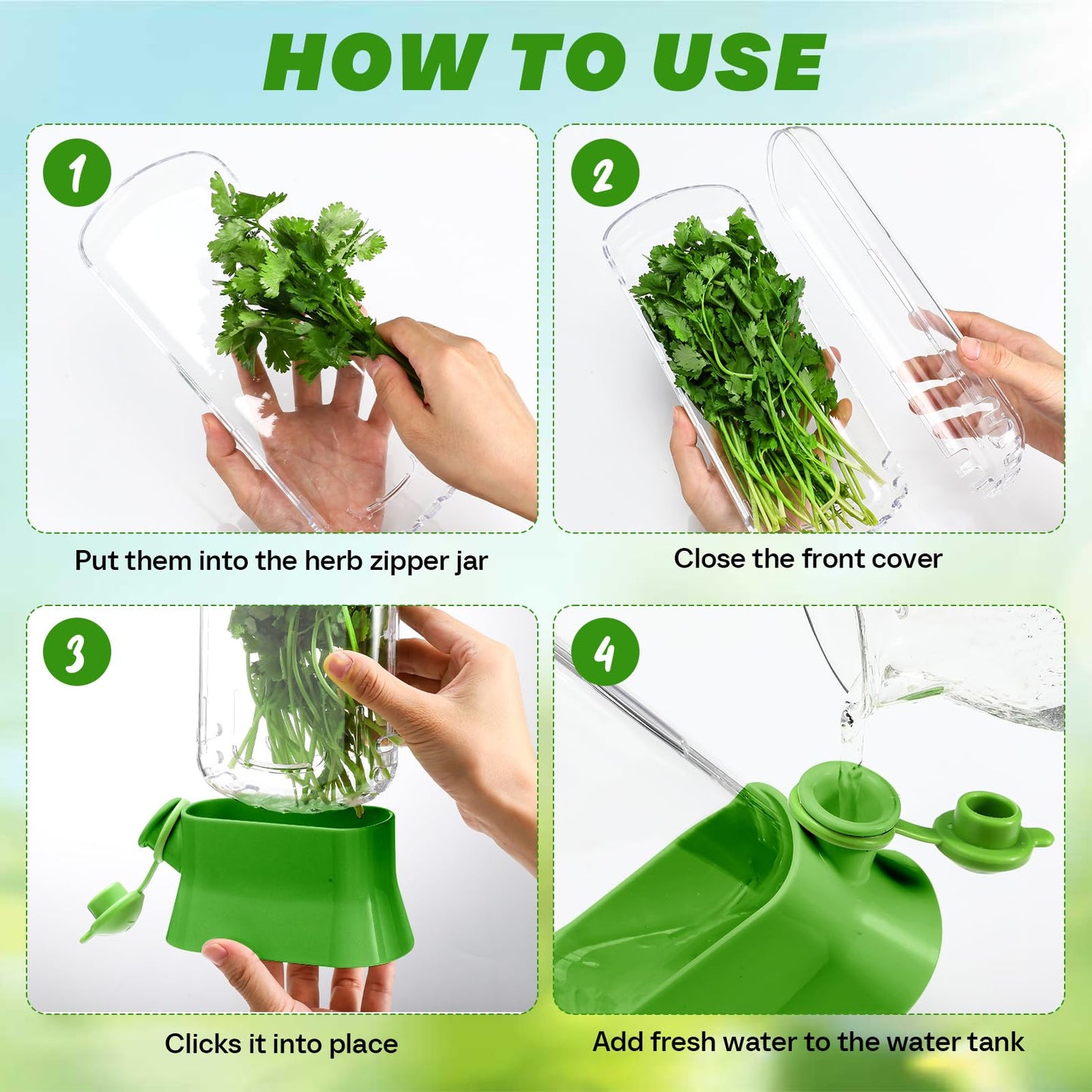 Baderke 2 Pieces Herb Saver for Refrigerator Fresh Herb Keeper Cilantro Container for Fridge Saver Pod for Cilantro, Parsley, Asparagus, Keeps Vegetables for 2-3 Weeks(Green)