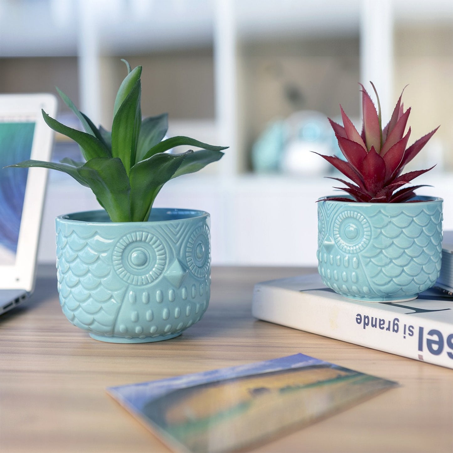 Nattol Owl Succulent Planter, Turquoise Animal Ceramic Planter Pots with Drainage, Set of 2