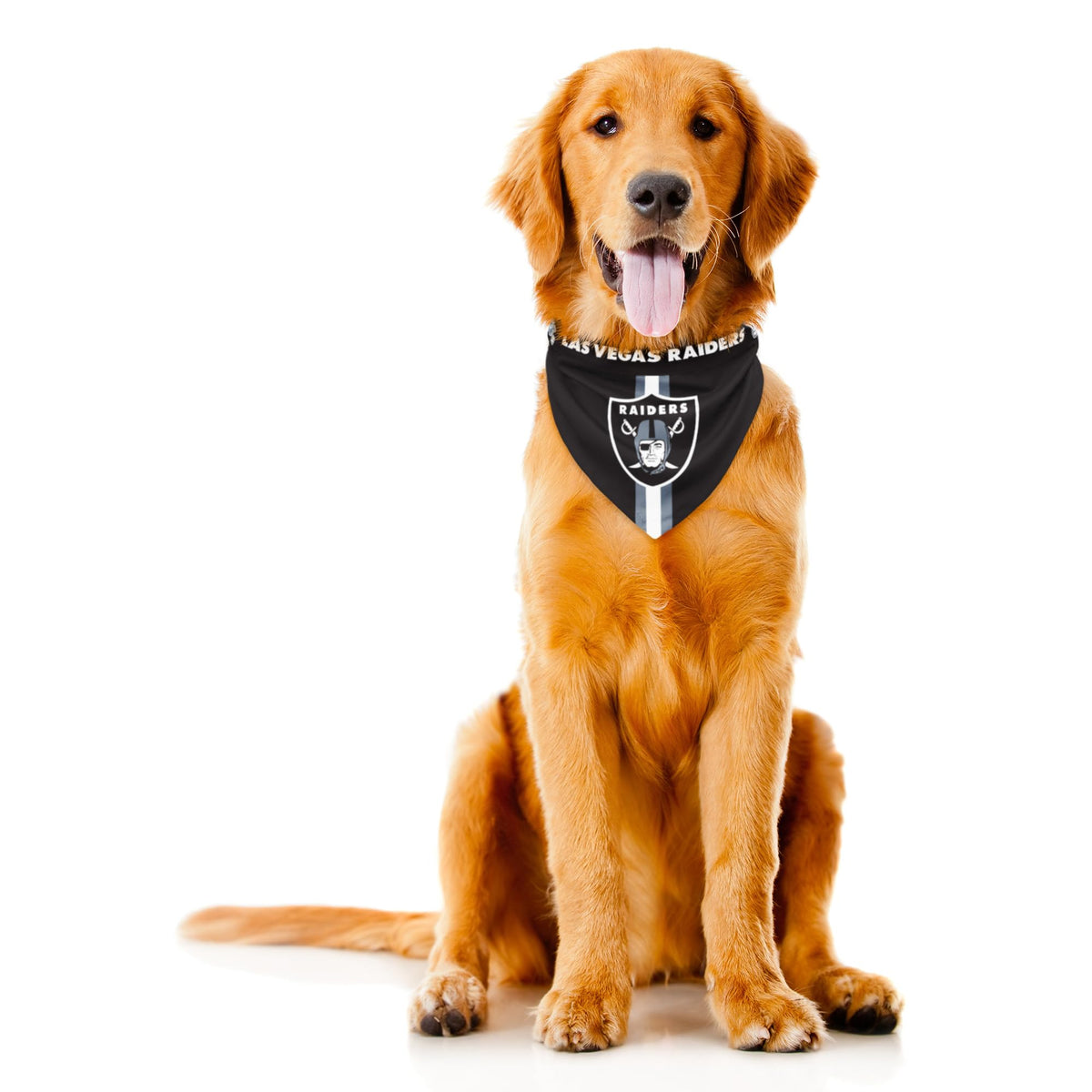 Littlearth NFL Seattle Seahawks Pet Bandana, Team Color, Medium