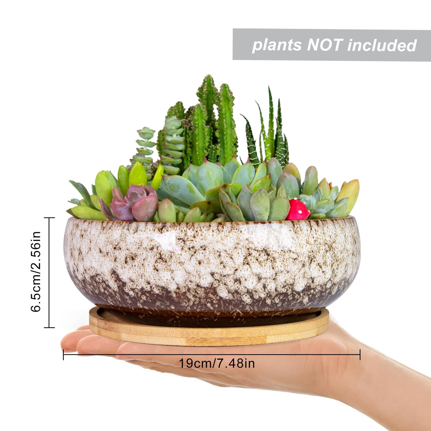 ARTKETTY Succulent Pots - 7.5 Inch Large Plant Pot with Bamboo Tray, Shallow Bonsai Pots with Drainage, Ceramic Planter for Indoor Plants, Cactus, Home Office Desk Decor
