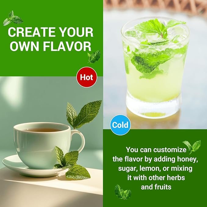 Spearmint Leaf Herbal Tea - Caffeine Free, 120 Teabags