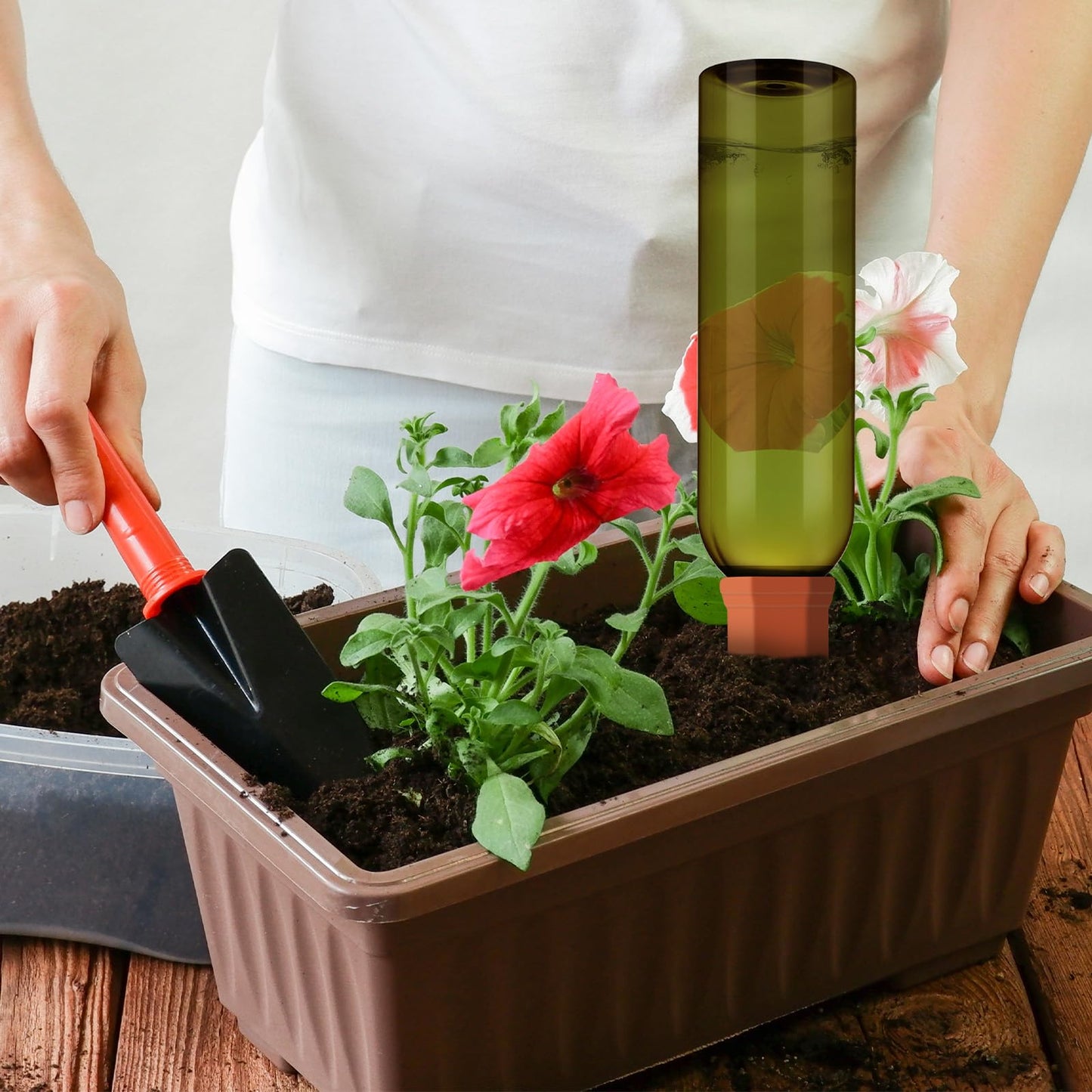 SiliFine 6 Sets Plant Watering Devices Include Terracotta Self Watering Spikes and 26 oz Plastic Bottles, Slow Release Vacation Insert Automatic Plant Waterer Device (Blue Green and Terracotta)