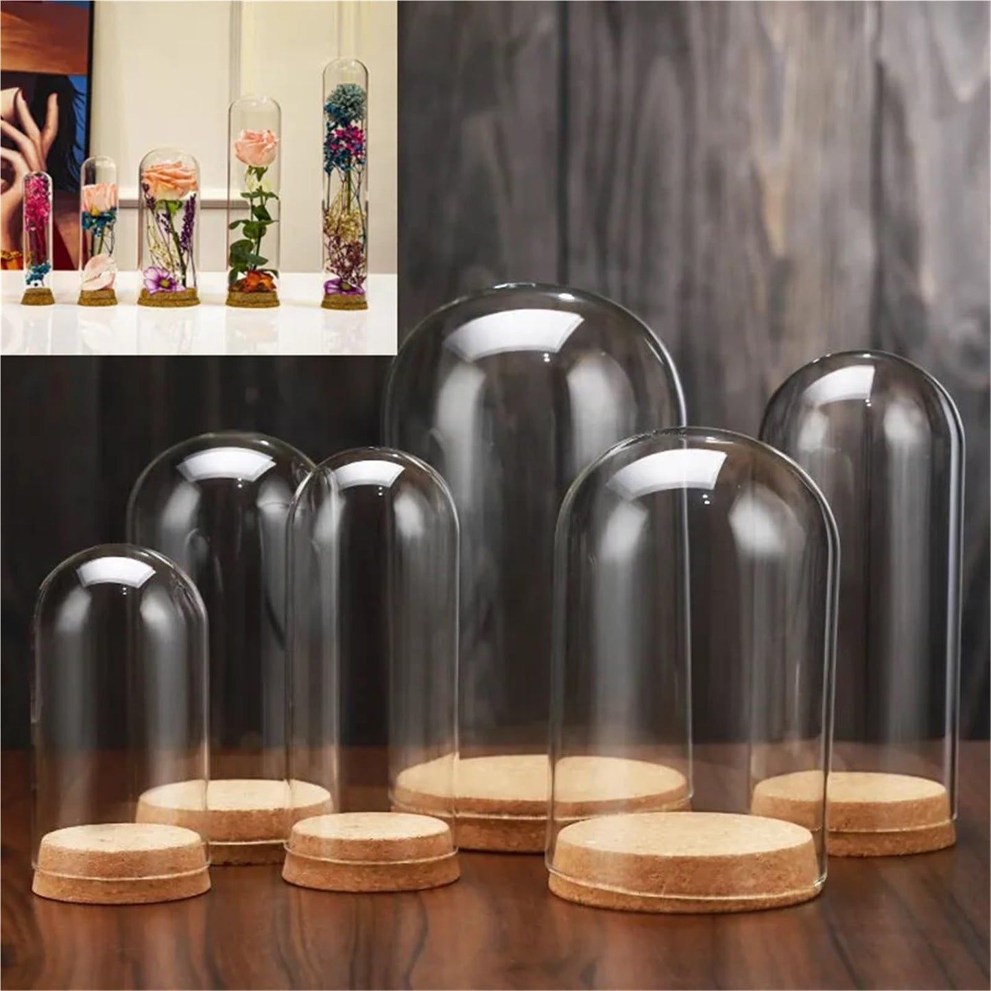 10X Da30mm Glass Bottle Terrarium Jar Cork Base Dome Dust Cover DIY Specimen Succulent Plant Micro Landscape Flower Vase Display(30x40cm)
