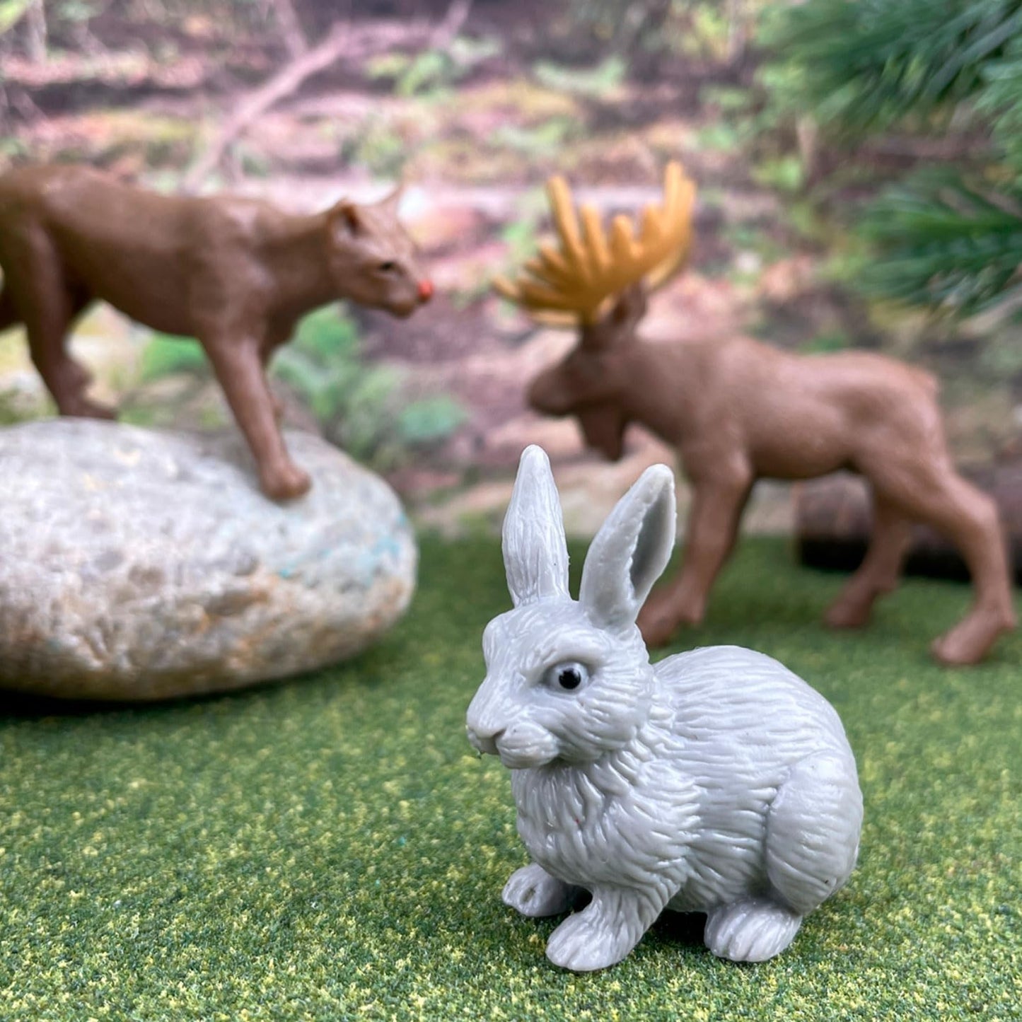 Safari Ltd Nature TOOB - 12 Mini Figurines with Rabbit, Beaver, Doe, Gray Wolf, Fox, Black Bear, Moose, Mountain Lion, Bald Eagle, and More - Educational Toy for Boys, Girls & Kids Ages 3+