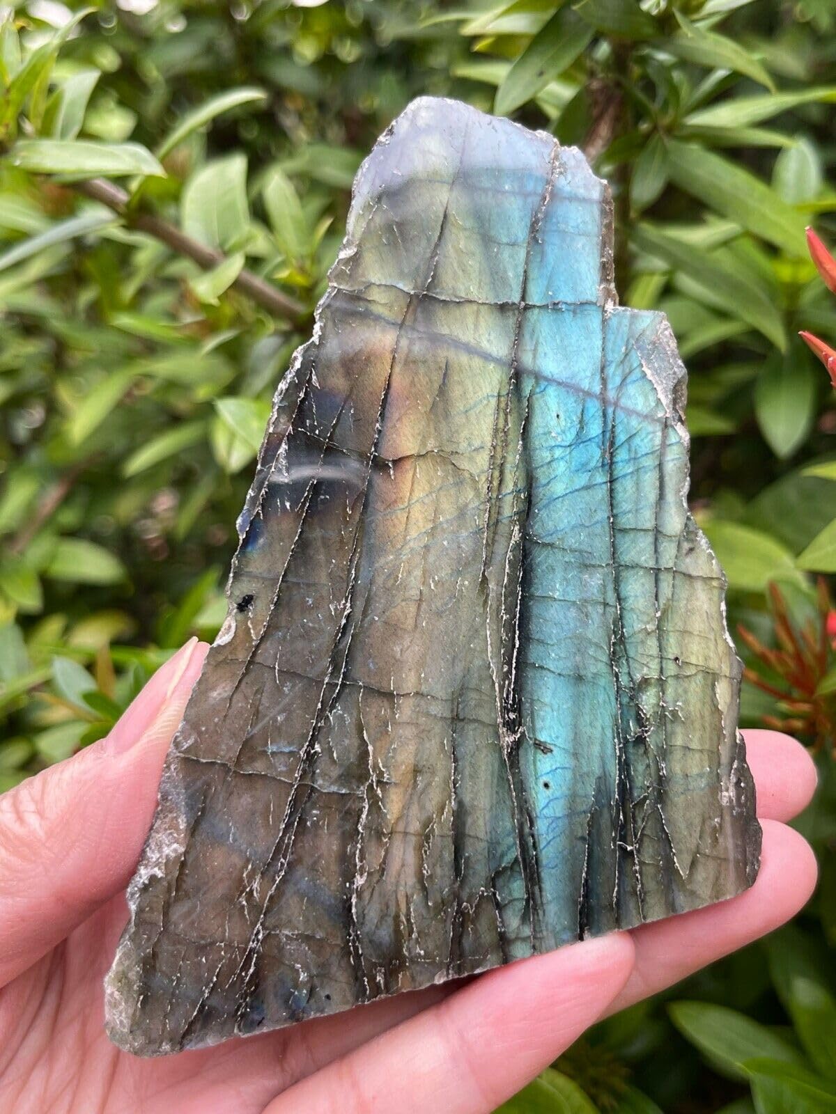 GAF TREASURES XL Raw Labradorite Slab, 3-4" Natural Rough Labradorite Slab, Labradorite Slab Healing Rough Crystal (Labradorite Slab, 0.5-1 lb)