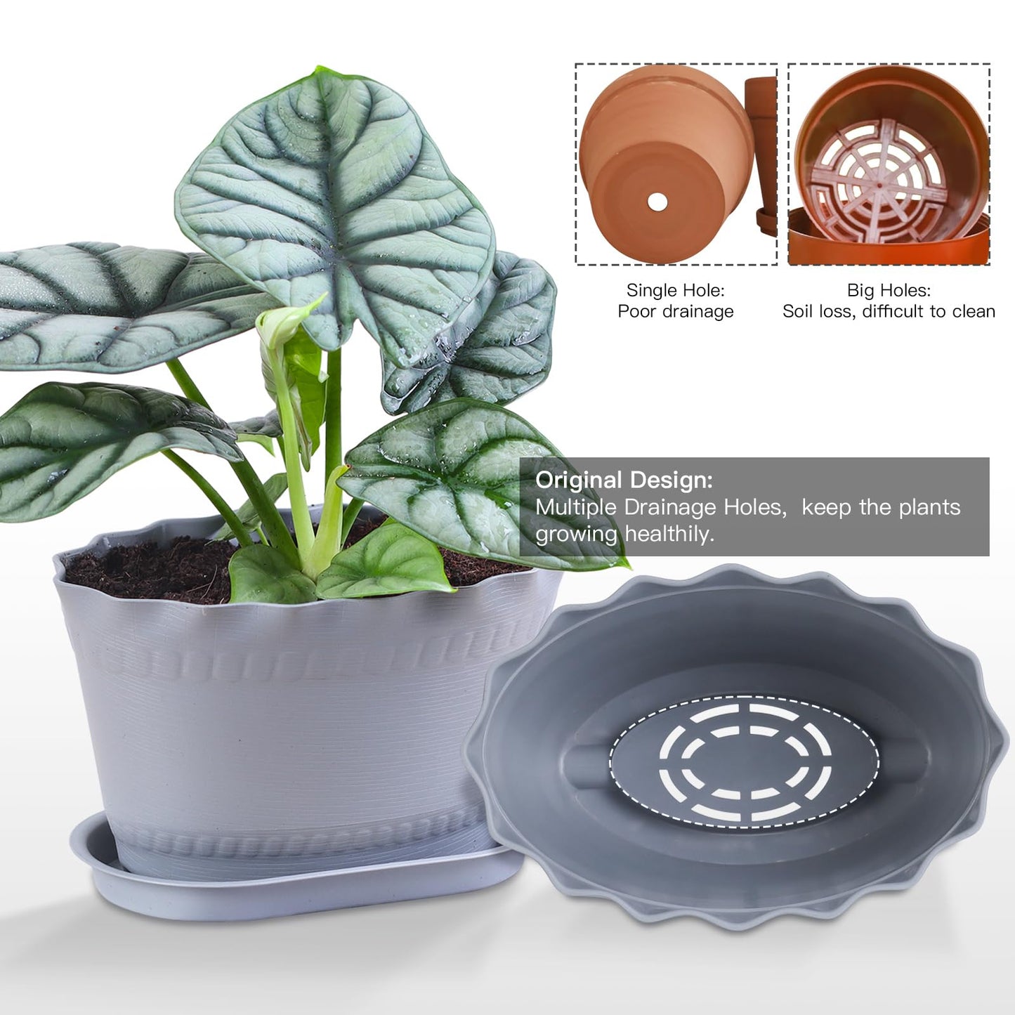 Oliz Herb Planter Pots 6 Pcs, Window Box Planter Flower Plants Pots for Succulent Cactus Flower with Trays, for Home Garden Kitchen Decor (Grey)