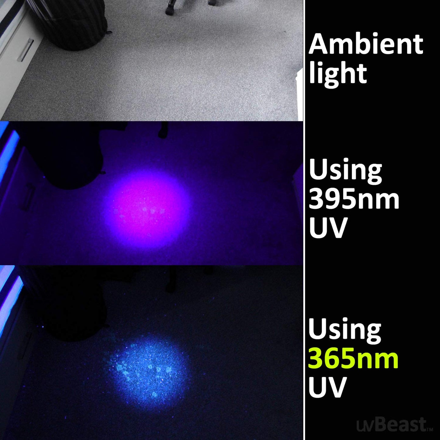 uvBeast New V3 365nm MINI - Black Light UV Flashlight – High Definition Pure Ultraviolet - Professional Grade High Power Upgraded 5 Core UV LED – USA Stock