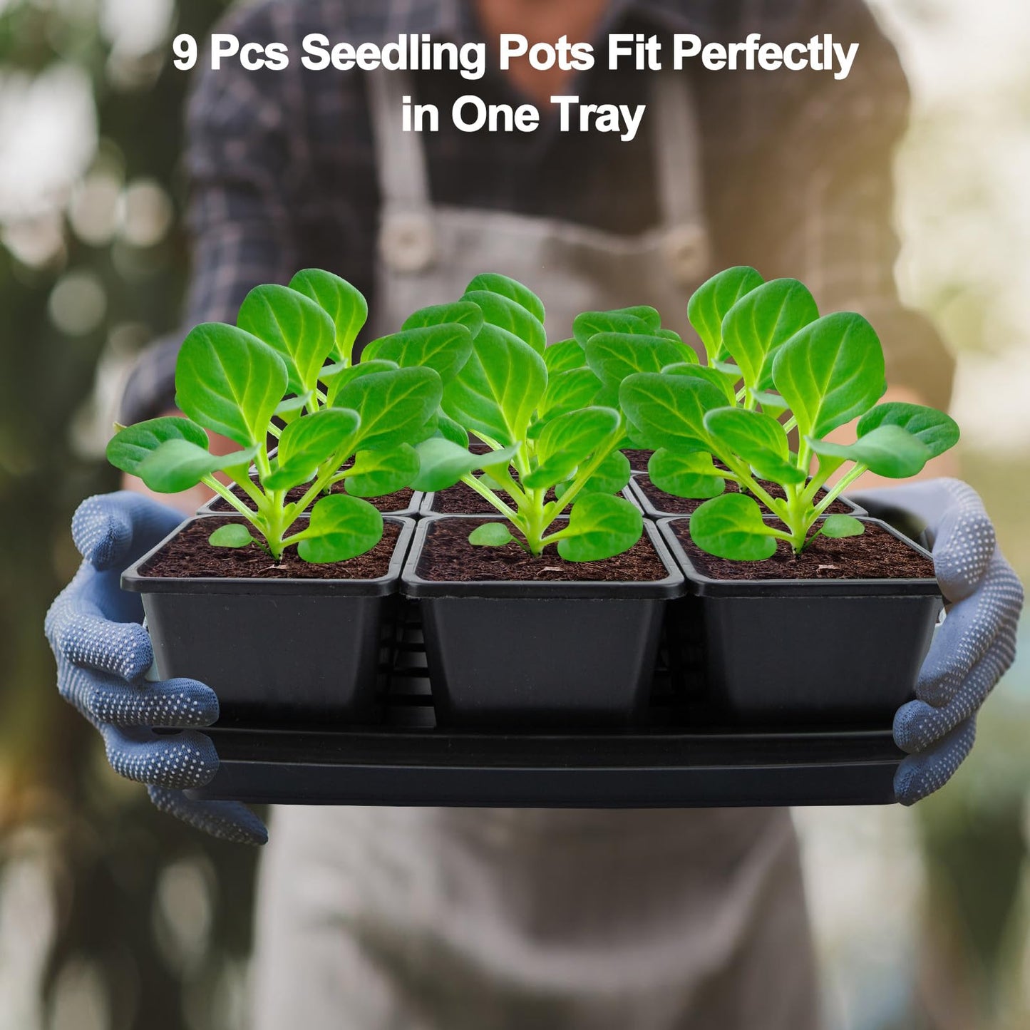Mlhezy 50Pcs 3.5inch Square Nursery Pots with 5Pcs Seed Starting Trays, Seed Starter Tray Kit, Seeds Starting Germination, Seeding Pots with Drain Holes, Small Plant Nursery Propagation