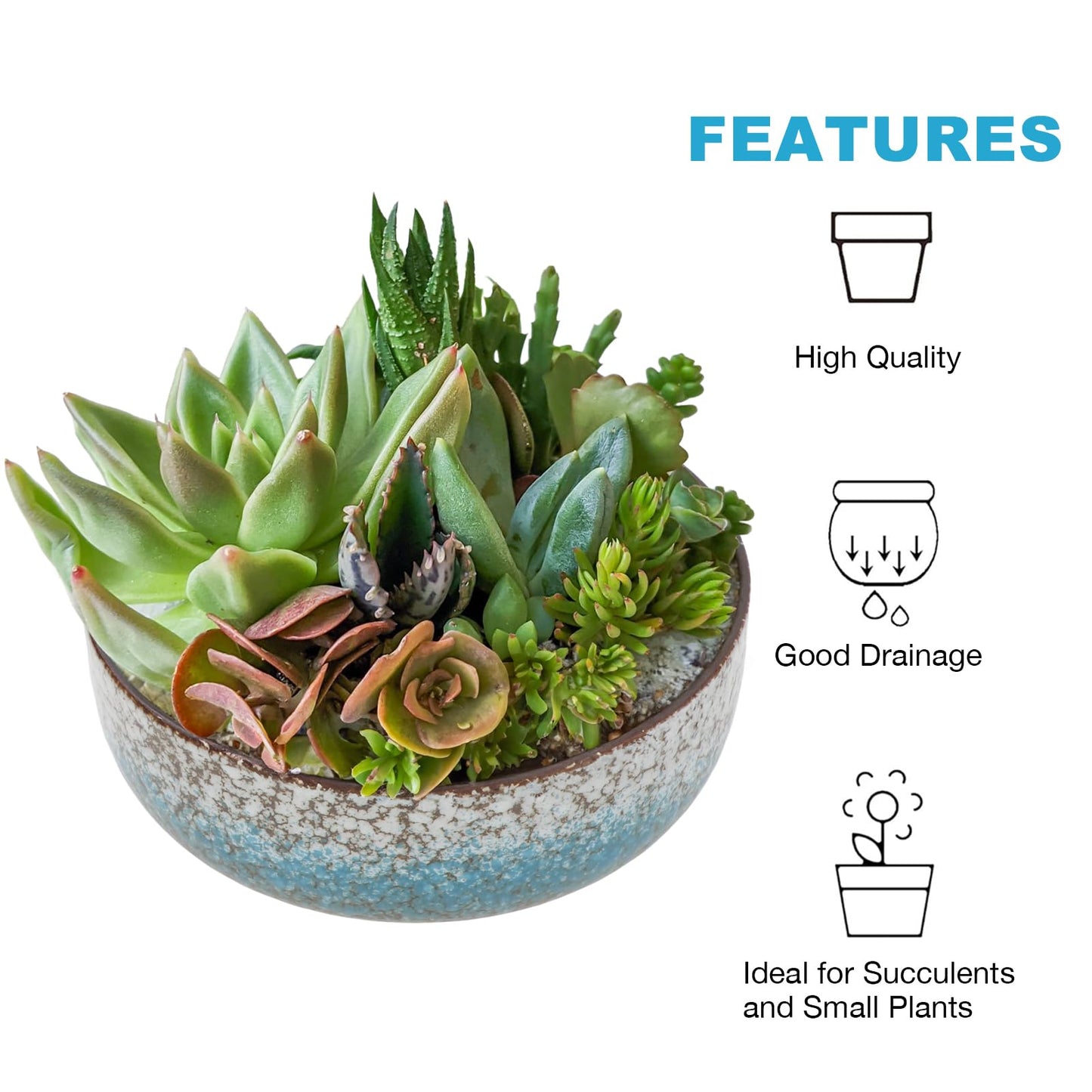 kilolfy Happy Bonsai Pot 6.5 inch Glazed Ceramic Succulent Planter Container