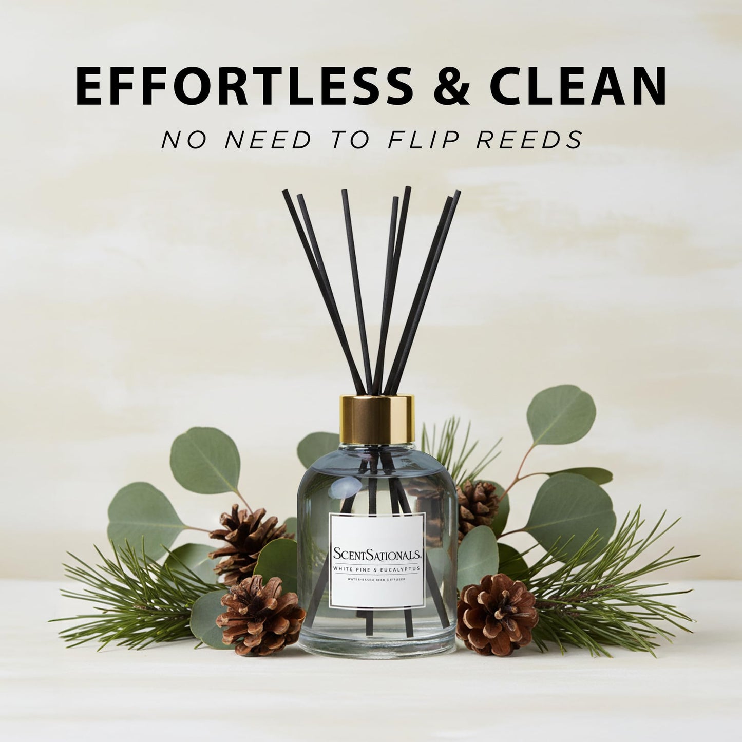 ScentSationals Water-Based Reed Diffuser - White Pine & Eucalyptus - 5 FL OZ Aromatherapy Reed Diffuser