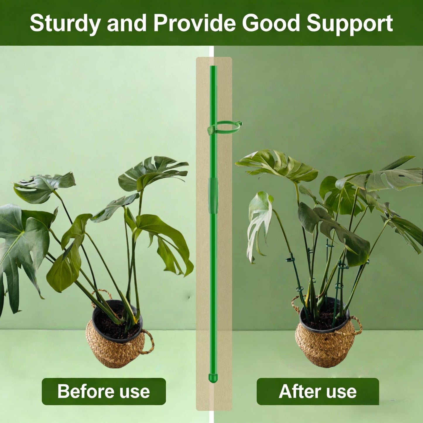 Plant Sticks Support Tall, 56Pcs Extendable Plants Stakes, Sturdy Monstera Plant Support, Natural Stakes for Indoor Plants Begonia Orchid Tomato