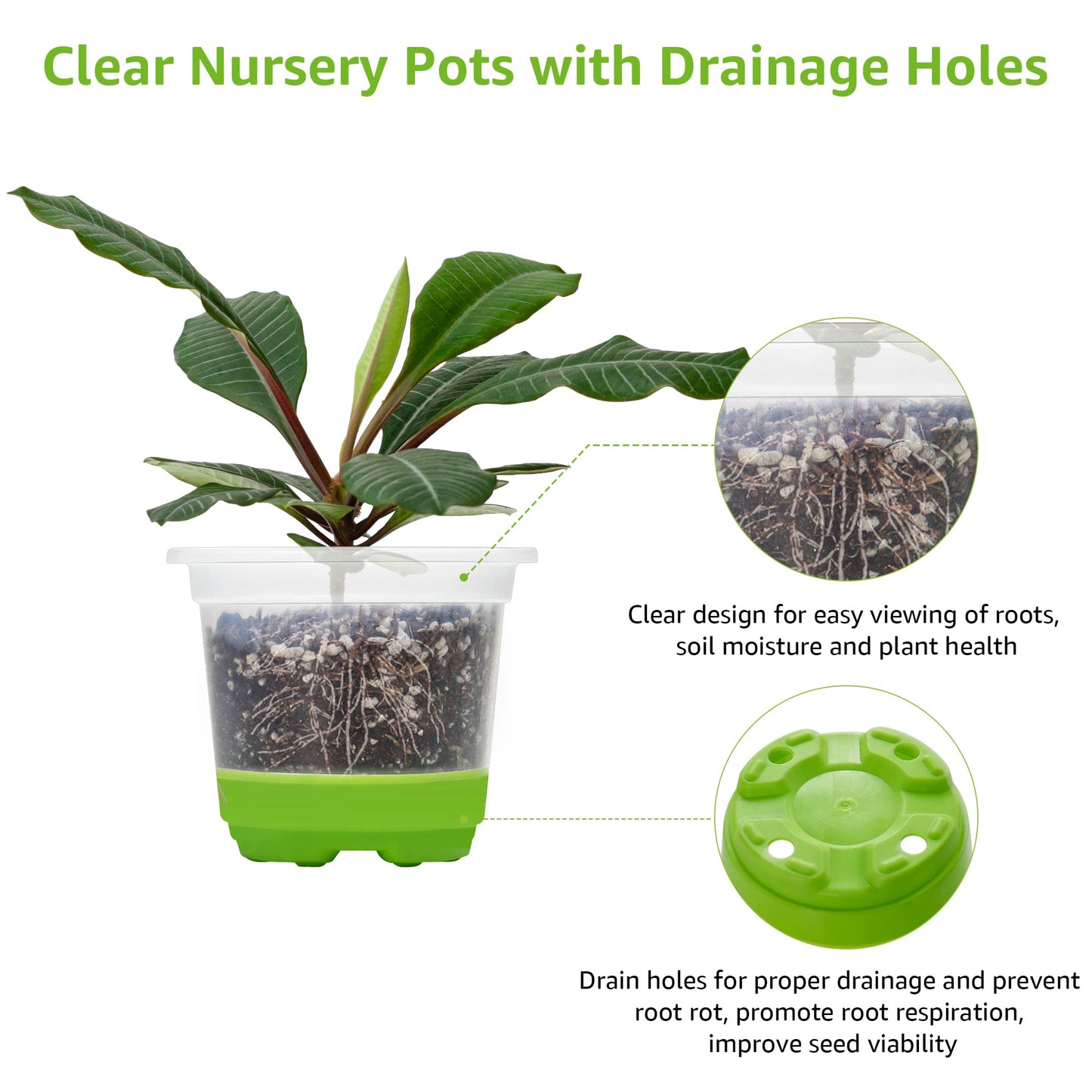 MIXC Thickened Clear Nursery Pots with Silicone Base for Easy Transplant 30 Packs 4 Inch, Transparent Plant Pot Reusable Seedling Pots for Vegetable Propagation, Root Cutting, Seed Starting, Green