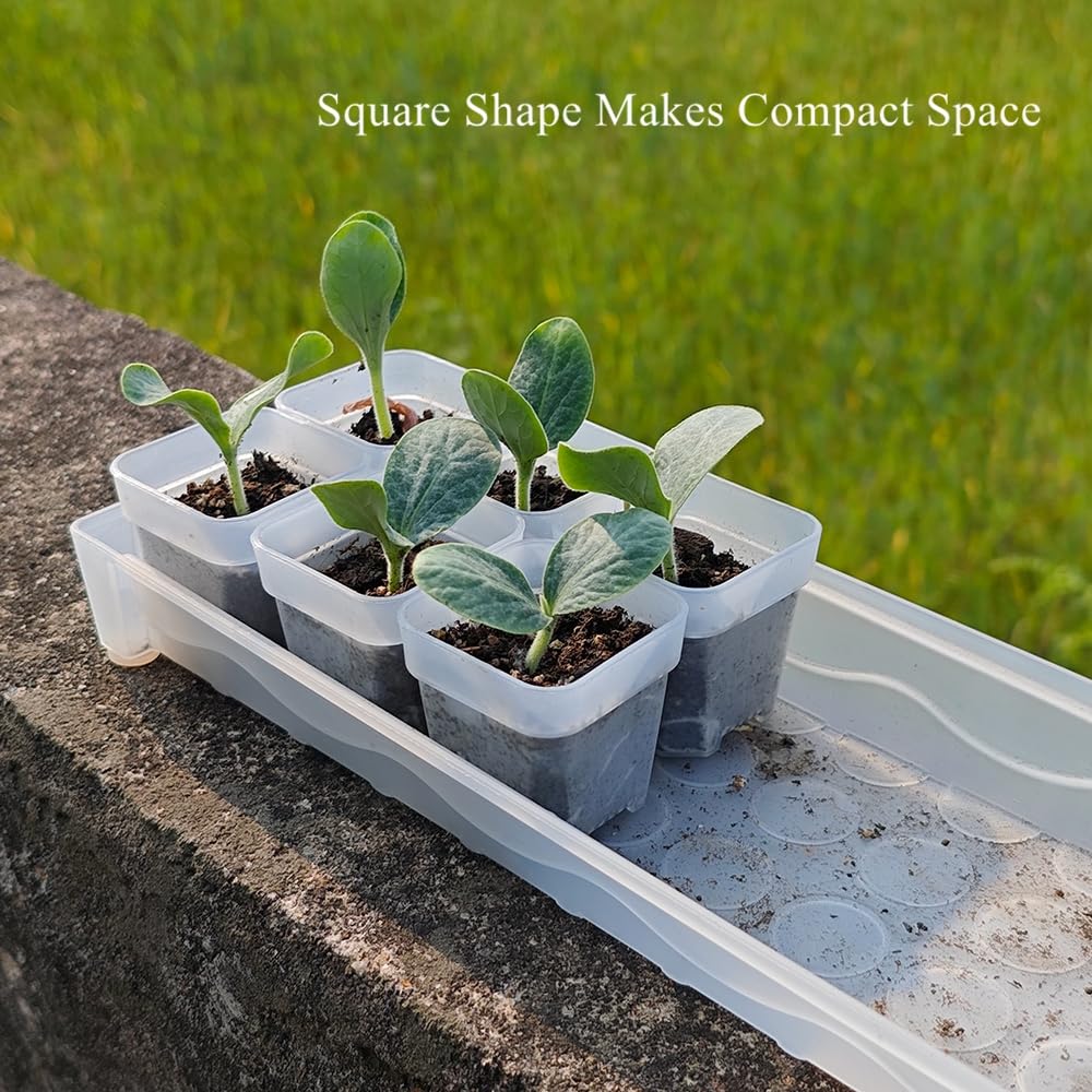 BangQiao 200 Pack 1.95 Inch Tiny Clear Plastic Square Nursery and Seedling Pot, Mini Transplant Seed Starter Planter with Drain Hole for Germination, Herb, Succulent
