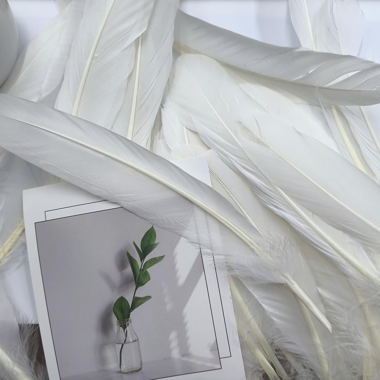 Natural Goose Feathers,50Pcs Bulk Long 8-10in (20-25cm) White Goose Feathers for Crafts Angel Wings Wedding Party DIY (Natural White)