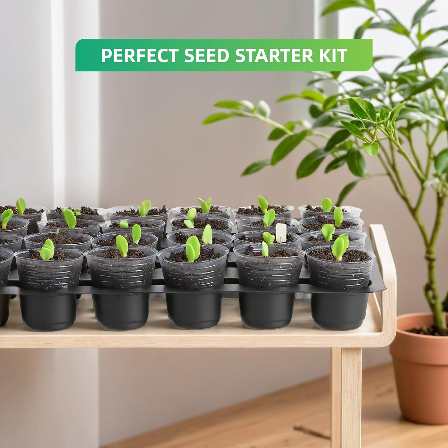 RooTrimmer 5-Pack 32 Cell Seedling Trays & 160 Pack 2" Soft Clear Nursery Pots -Thickened Durable Plant Starter Kit for Seed Germination (5 Sets)