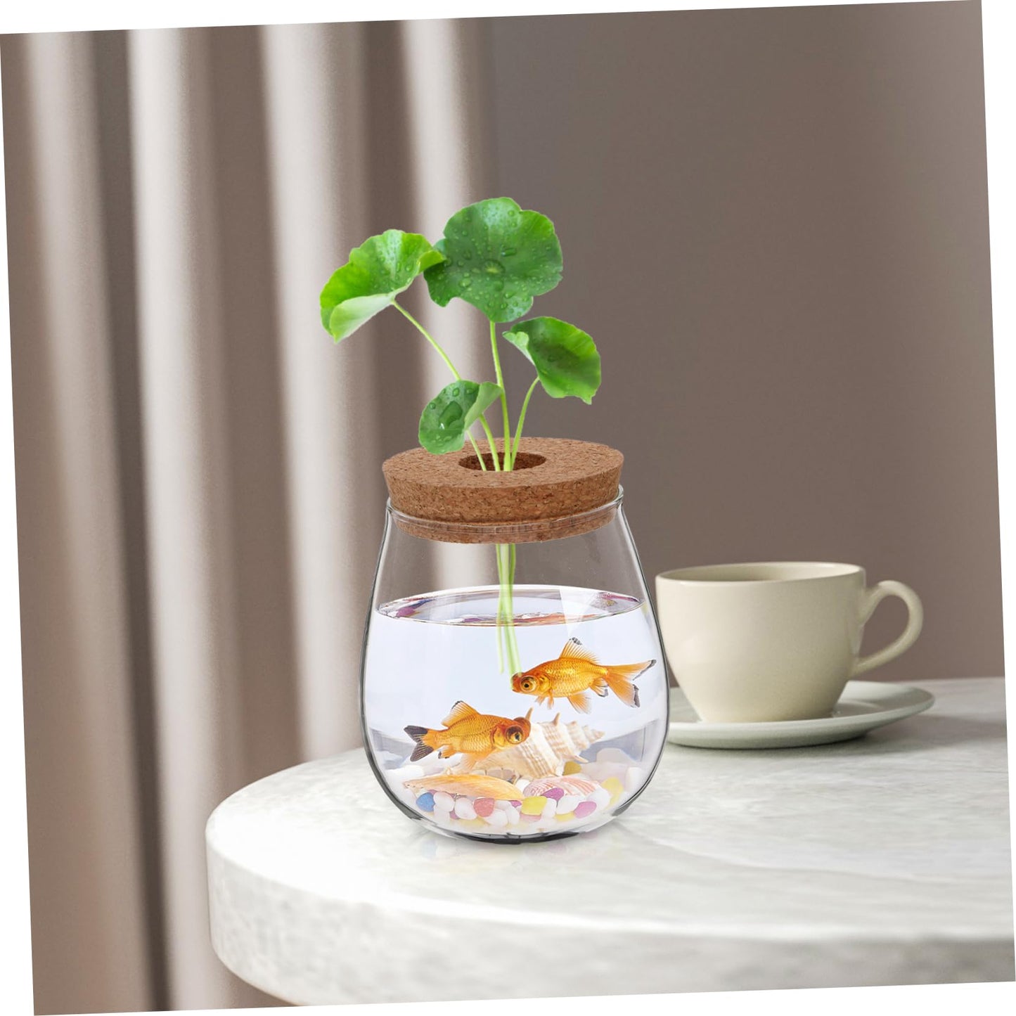 ifundom Creative Hydroponic Glass Vase for Plants Transparent Desktop Propagation Planter Elegant Terrarium for Indoor Greenery Low Maintenance Water Propagation Station for Spaces