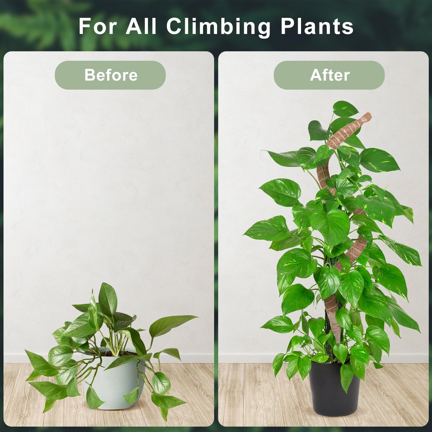2 Pack 35 Inch Moss Pole, Bendable Moss Pole for Plants Monstera, Tall Moss Poles for Climbing Plants Indoor, Large Support, Garden Trellis Stick Stakes for Plants