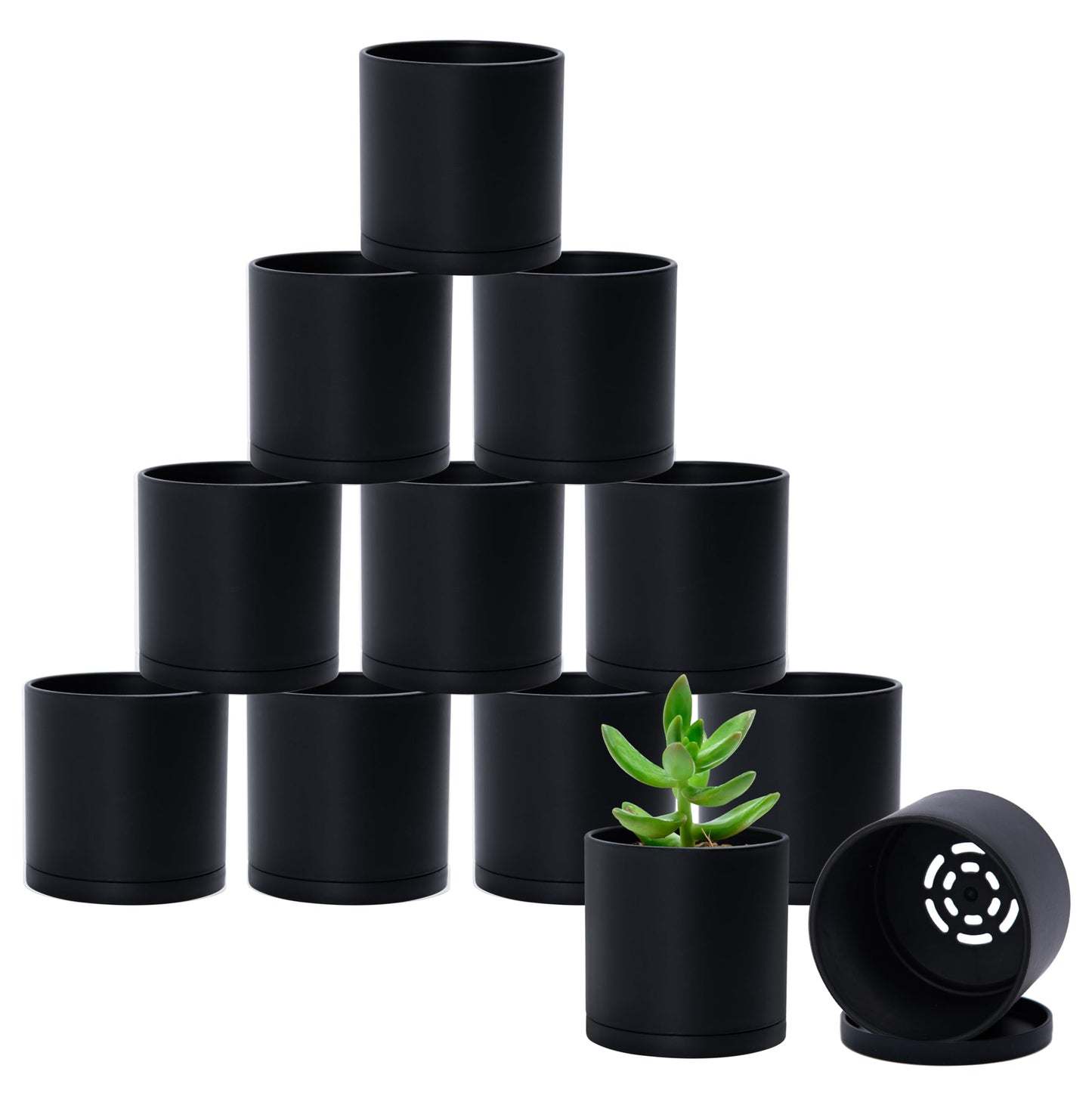 D'vine Dev 12 Pack 3.5 Inch Mini Plastic Plant Pots, Small Garden Planters for Plant with Drainage Holes and Saucers, Black Color, 74-Y-D-4