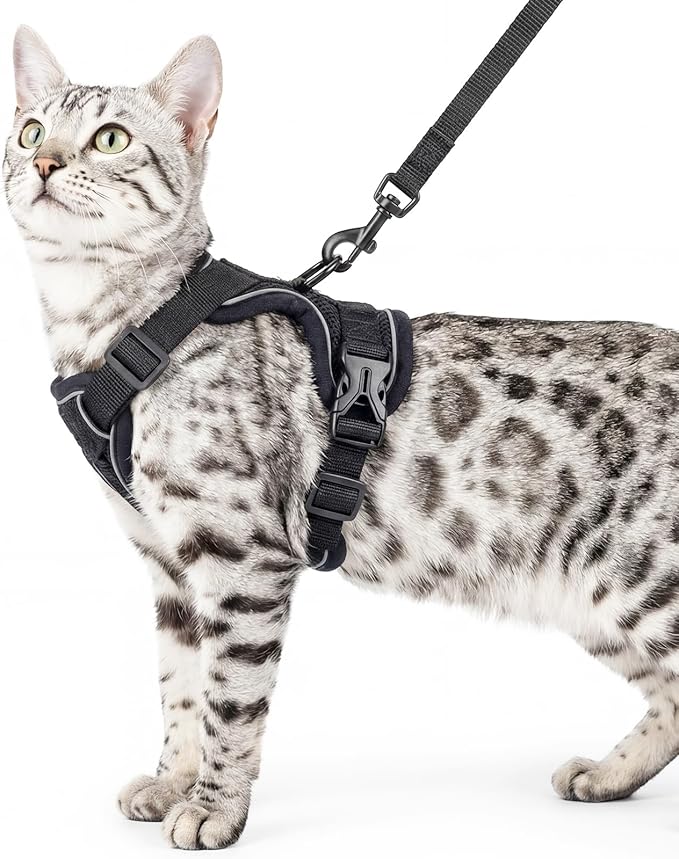 pangdi Cat Harness and Leash Set, Escape Proof Cat Vest, Pink, L