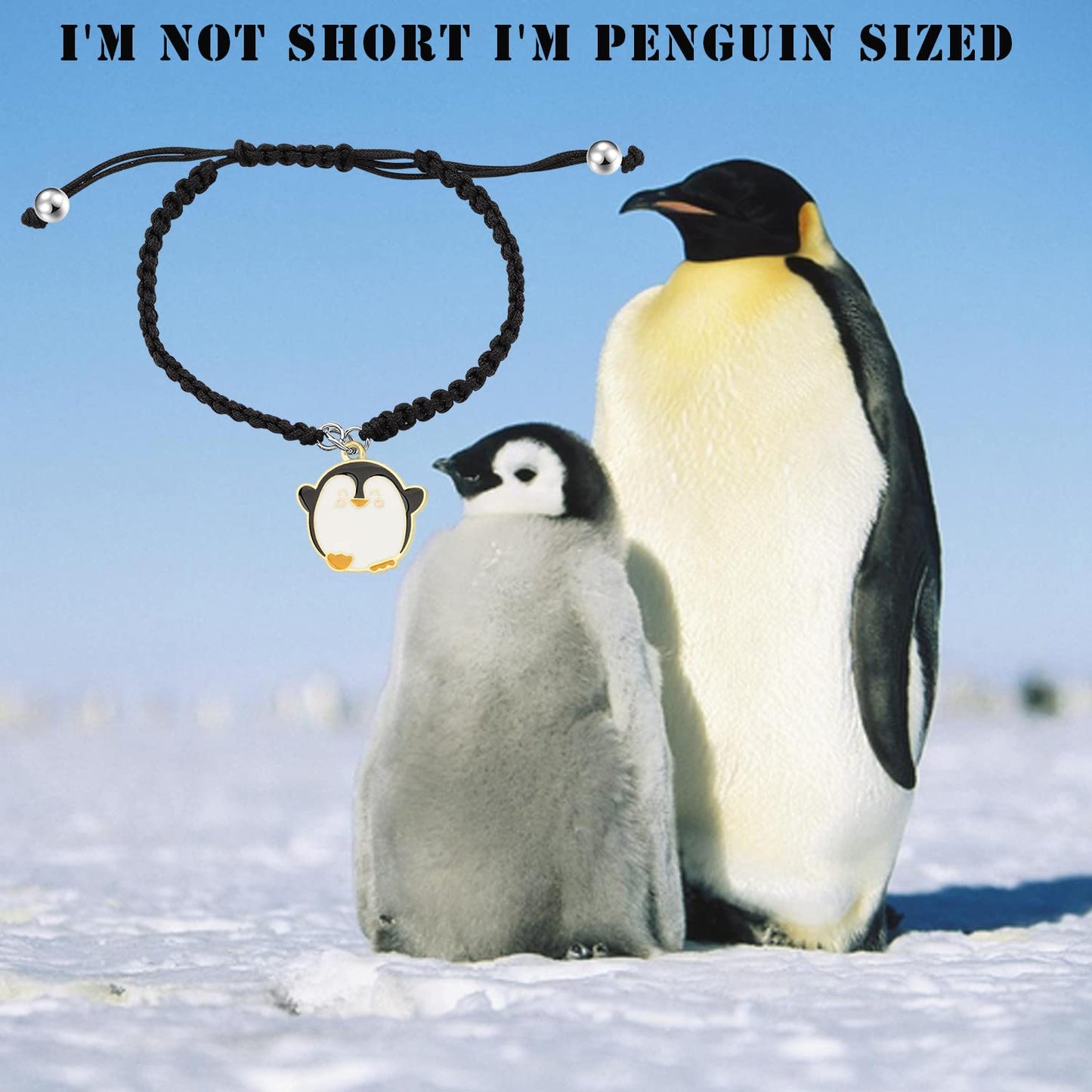 PLITI Penguin Lover Bracelet - Penguin Sized, Animal Lover Gift