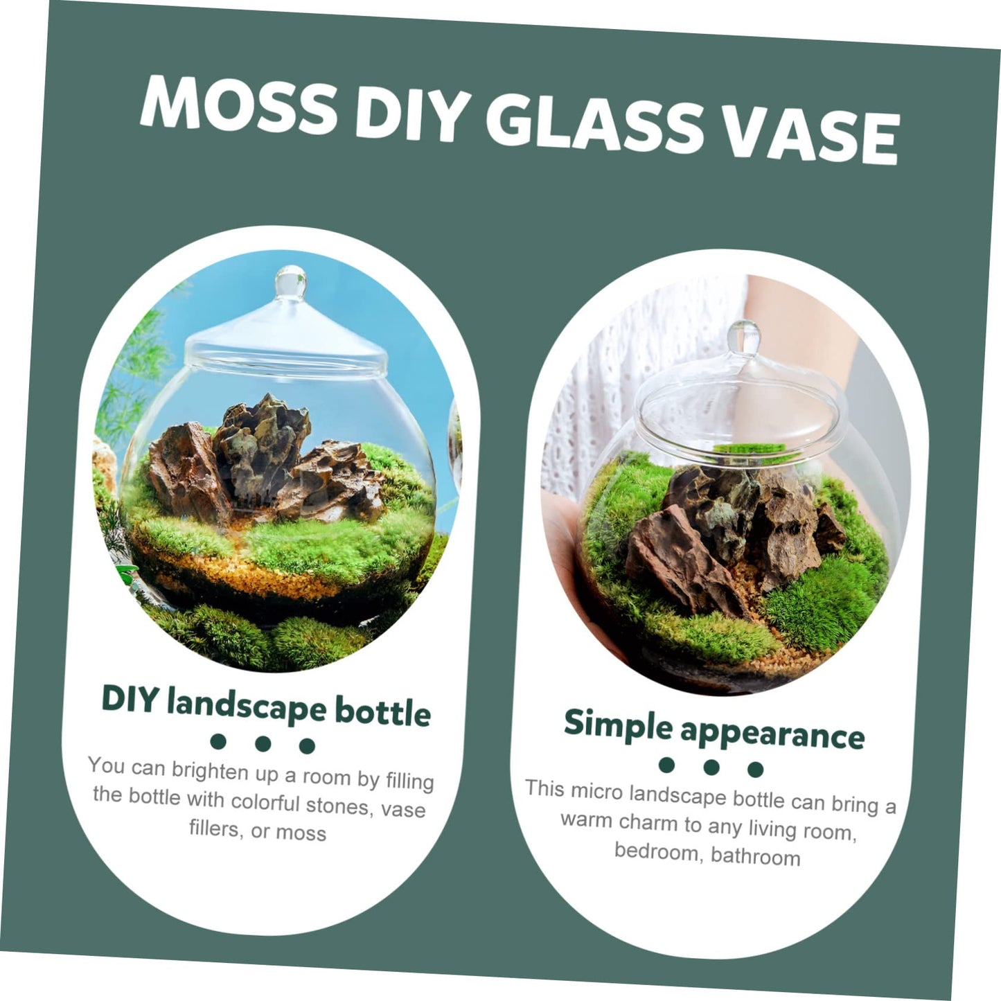 1Set Micro Landscape Bottle for DIY Terrarium Crafts Glass Eco Bottle with Style Lid Indoor Home Decor Creative Plant Display for Moss Miniature