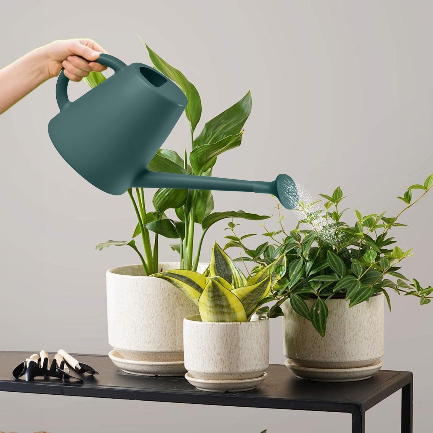 TEIUKAX Indoor and Outdoor Watering Can - Long Spout -1/2 Gallon (64oz) - Blackish Green