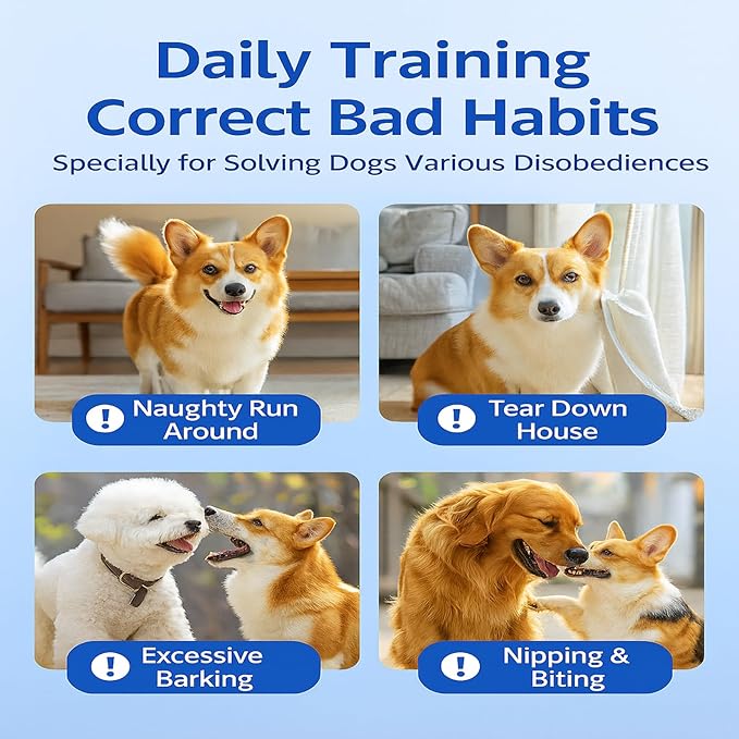 Welnseliv Dog Training Stick for Puppies and Dogs, Flexible Exercise Stick, Obedience Training Tool(Blue)