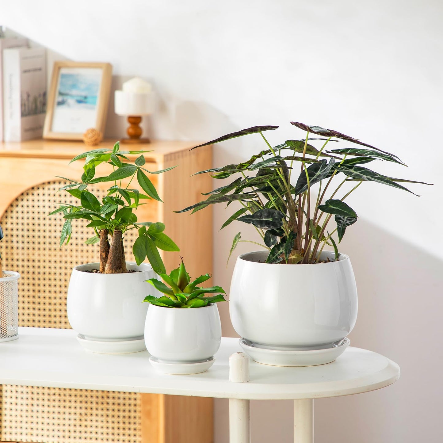 vancasso 3-Pack Ceramic Plant Pots, 3.7/4.8/6.2 Inch Indoor Planters with Saucers & Drainage Hole Planter pots for Indoor Plants and Flower, White