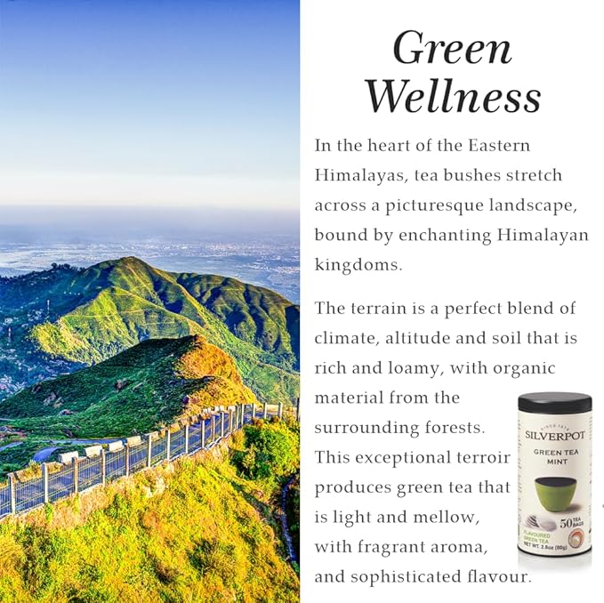 Silverpot Green Tea & Mint - 50 Round Tea Bags | 100% Natural, Peppermint | Caffeinated | Antioxidant Rich | Reusable Tin