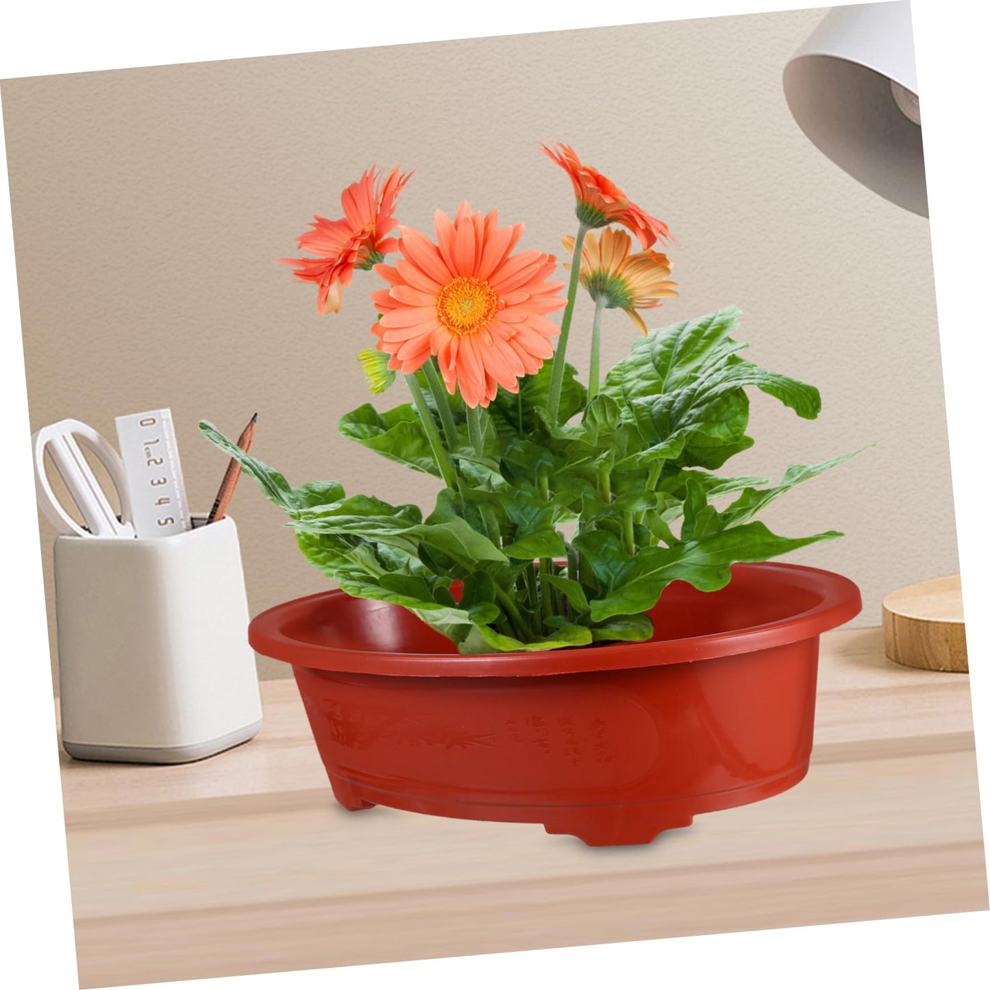 VINTORKY 2pcs Oval Plastic Flower Pots Indoor Outdoor Planters Drainage for Herbs Succulents and Garden Decor
