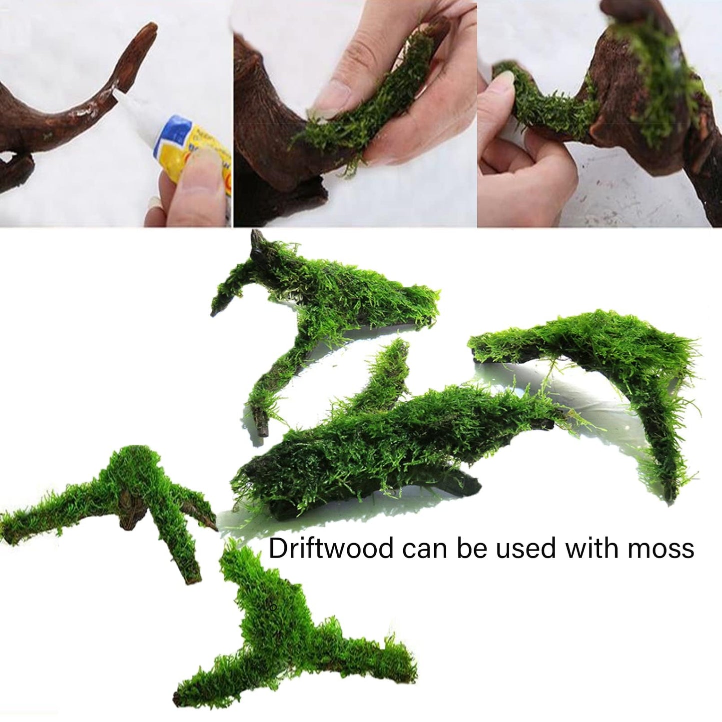 Tfwadmx 5PCS Aquarium Driftwood Branches 4''-7.8'' Reptiles Trunk Natural Wood Fish Tank Decoration Plant Stump Ornament Decor Assorted