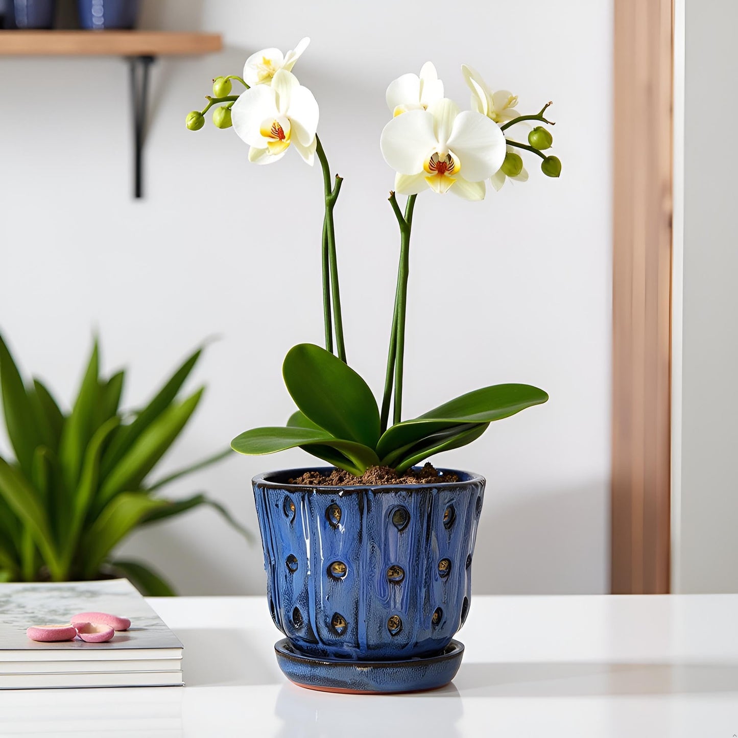 Grdthzey Orchid Pots 4.9 inch Round Ceramic Orchid Pots with Holes Set of 2 (SkyBlue+White with Lemon Green)