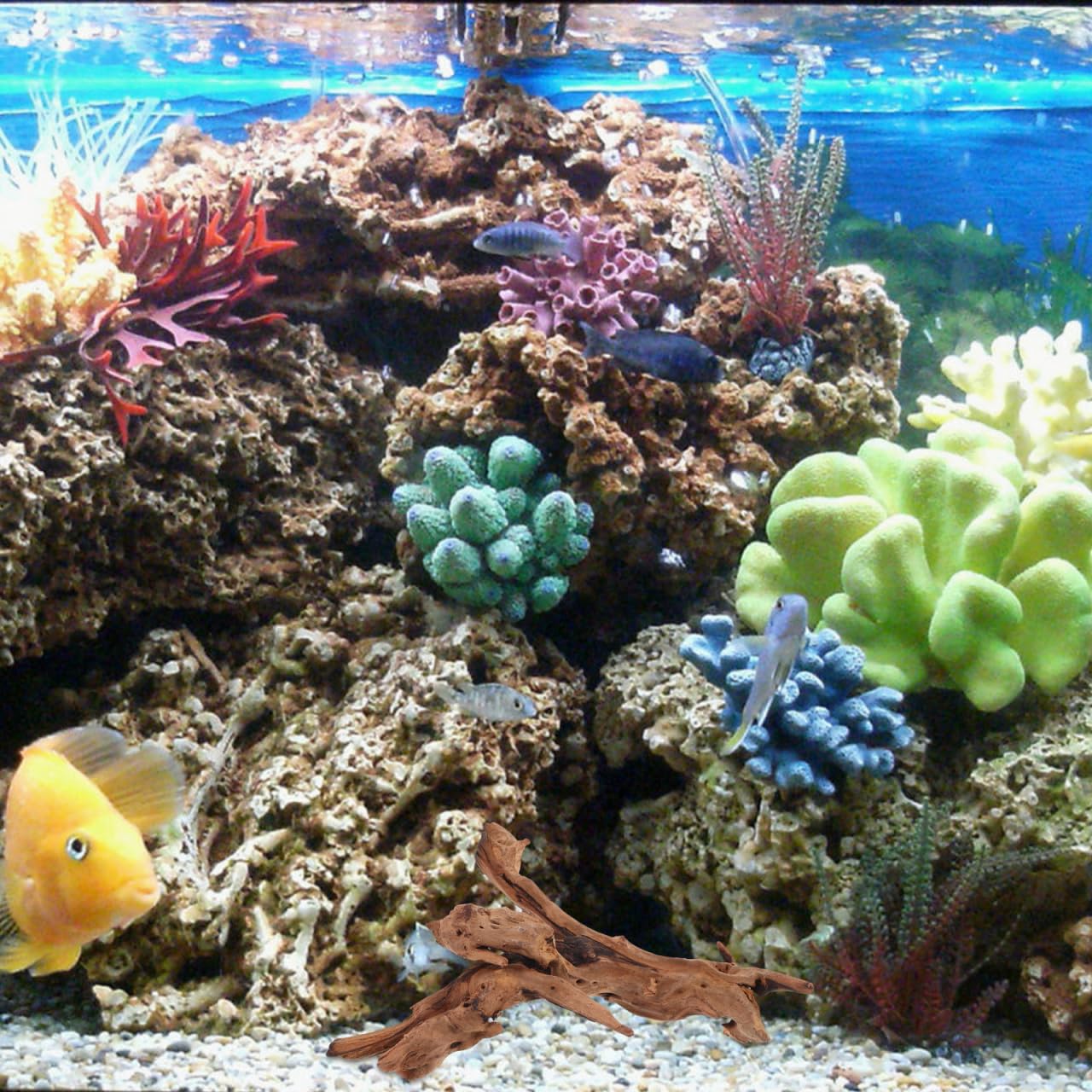 POPETPOP Natural Driftwood for Aquarium Decor - 9.8×5.9" Unique Wood Branch Fish Tank Decorations & Reptile Tank Accessories, Drift Wood Log for Leopard Gecko Terrarium Accessories