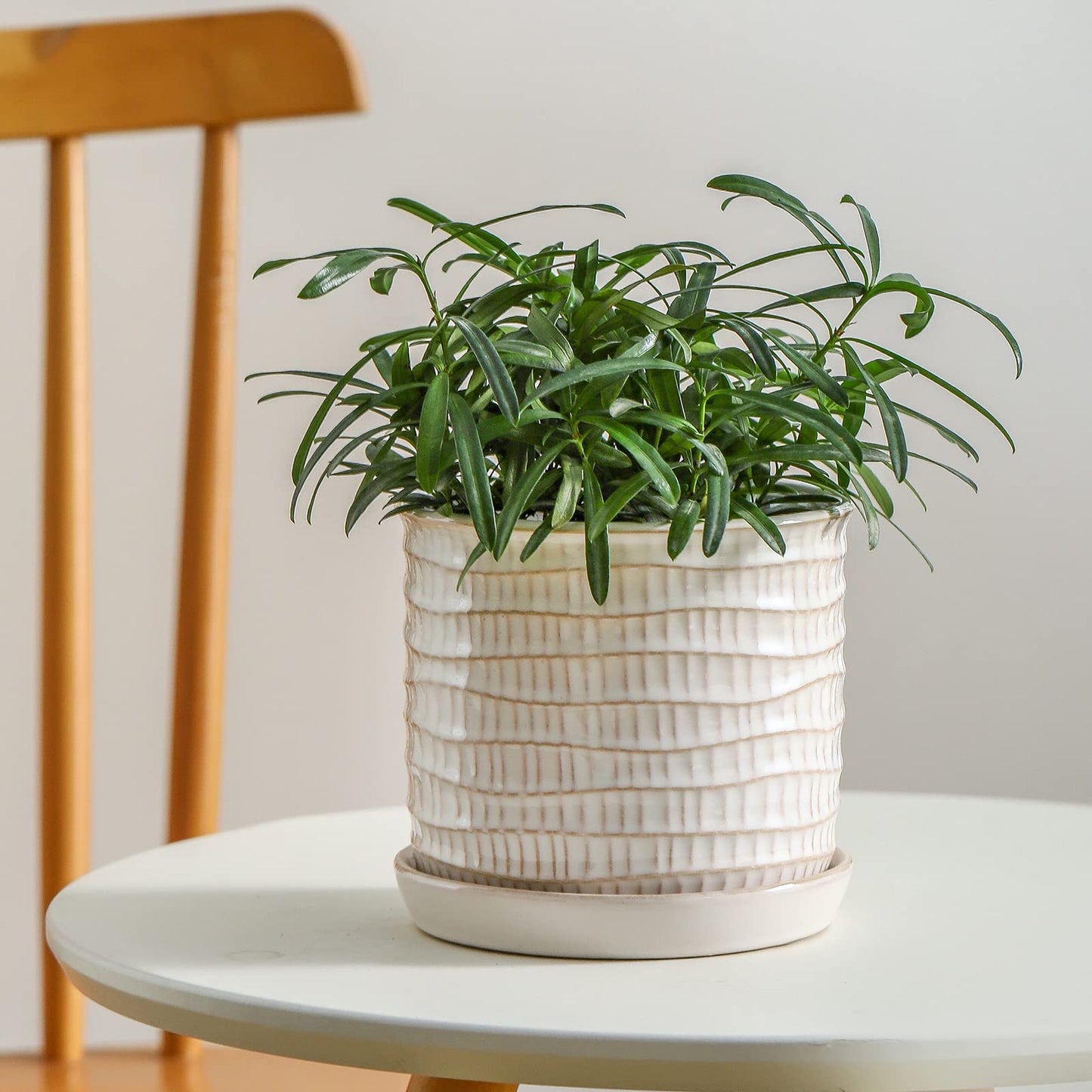 Chubacoo 5.8 Inch Plant Pot: Ceramic Planter with Drainage Hole & Saucer for Indoor Outdoor Plants - Flowerpot with Bonded Tray for Home Office - Wave Embossed