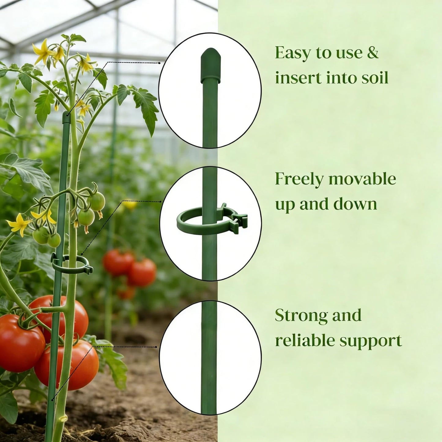 Plant Sticks Support Tall, 56Pcs Extendable Plants Stakes, Sturdy Monstera Plant Support, Natural Stakes for Indoor Plants Begonia Orchid Tomato
