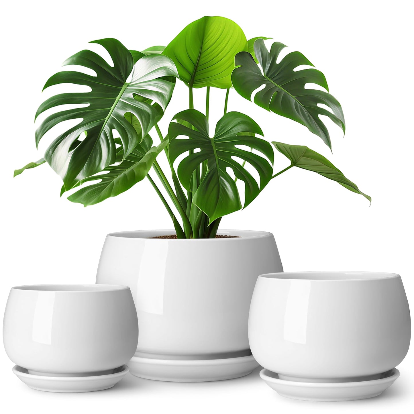 vancasso 3-Pack Ceramic Plant Pots, 7.3/9.6/11.6 Inch Indoor Planters with Saucers & Drainage Hole Planter pots for Indoor Plants and Flower, White