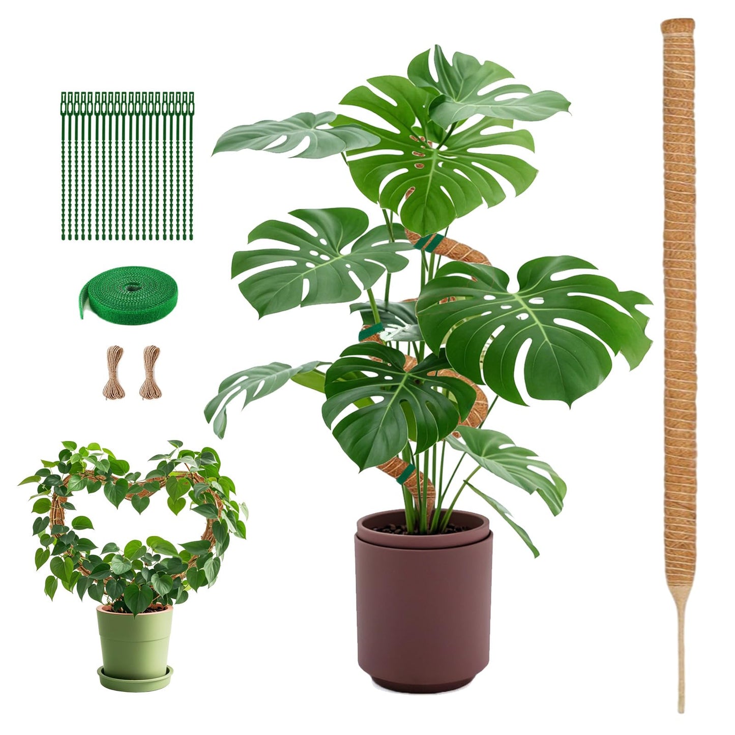 1 Pack 63Inch Bendable Tall Moss Pole for Monstera, 160cm Plant Support Moss Sticks Stakes for Climbing Indoor Plants, Pothos & Philodendron - Coir/Coco Plant Trellis for Potted Climbers & Houseplants