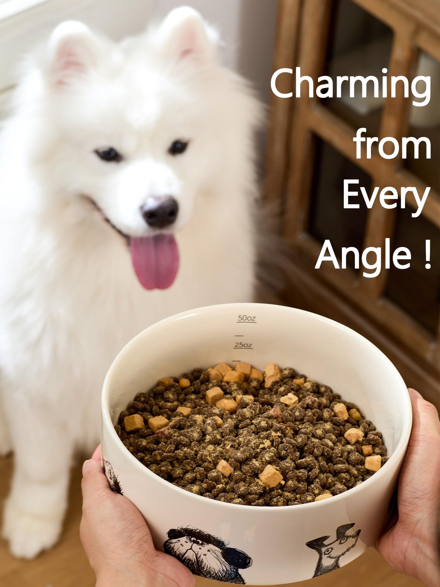 BICOPET Ceramic Cute Dog Bowl with Non-Slip Ring - 6.5 Cups, Heavy-Duty Stoneware Bowl, Pet Feeding, Microwave and Dishwasher Safe-Derpy-L (Single Bowl)