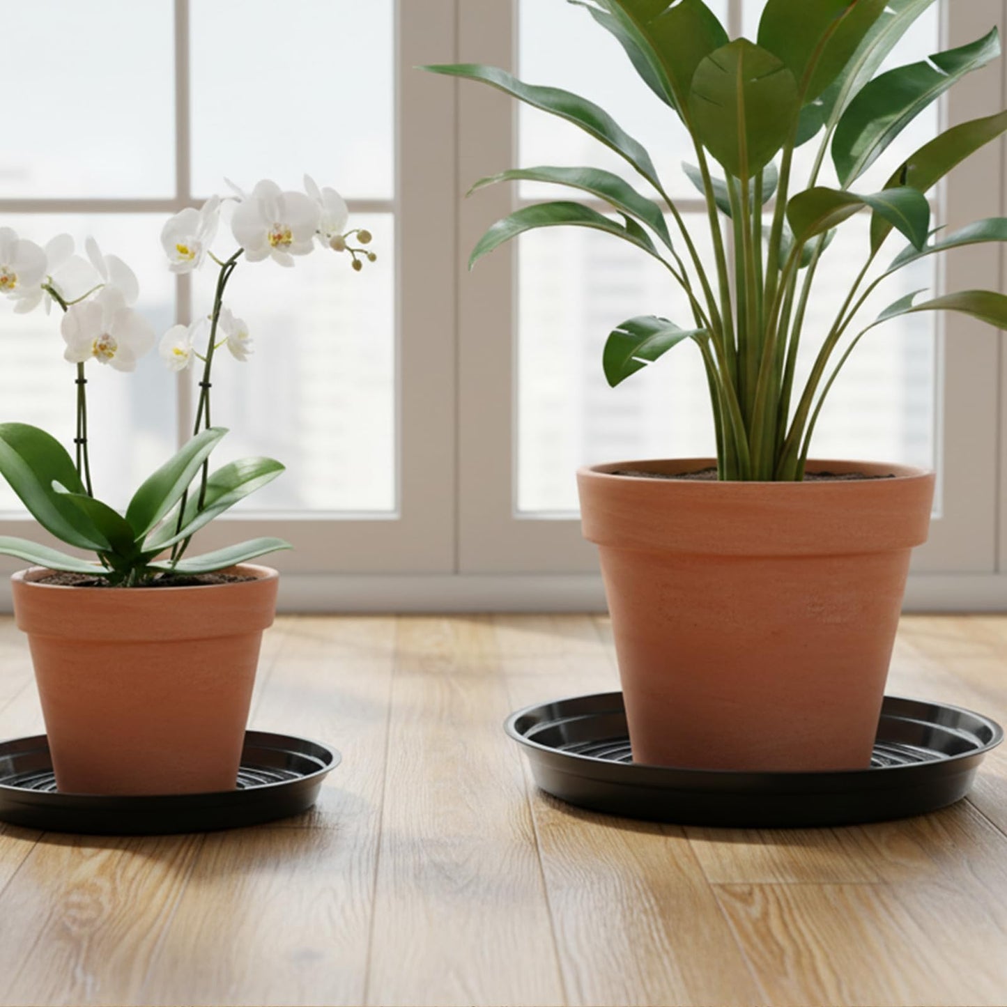 TRUEDAYS 20 Pack Black Plant Saucers – 4 Sizes (6"/8"/10"/12") Plastic Flower Pot Trays for Indoor & Outdoor Plants, Drip Trays to Protect Floors & Surfaces
