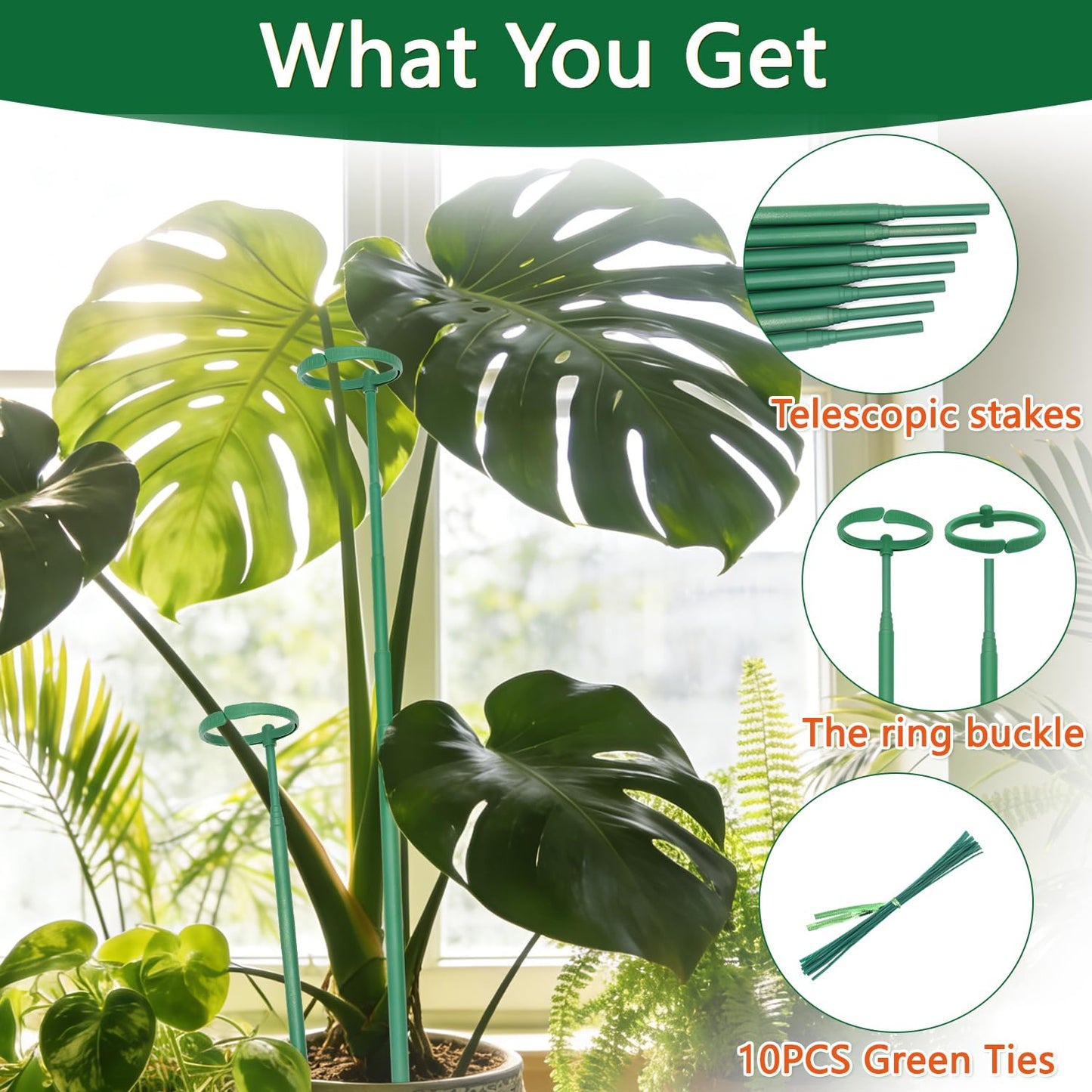 Telescoping Monstera Plant Support Stakes, 12.5IN to 48.4IN Adjustable Length, Extendable Plant Stakes for Indoor Plants, Premium Stainless Steel Material Plants Sticks for Orchids, Tomatoes- 5Pack