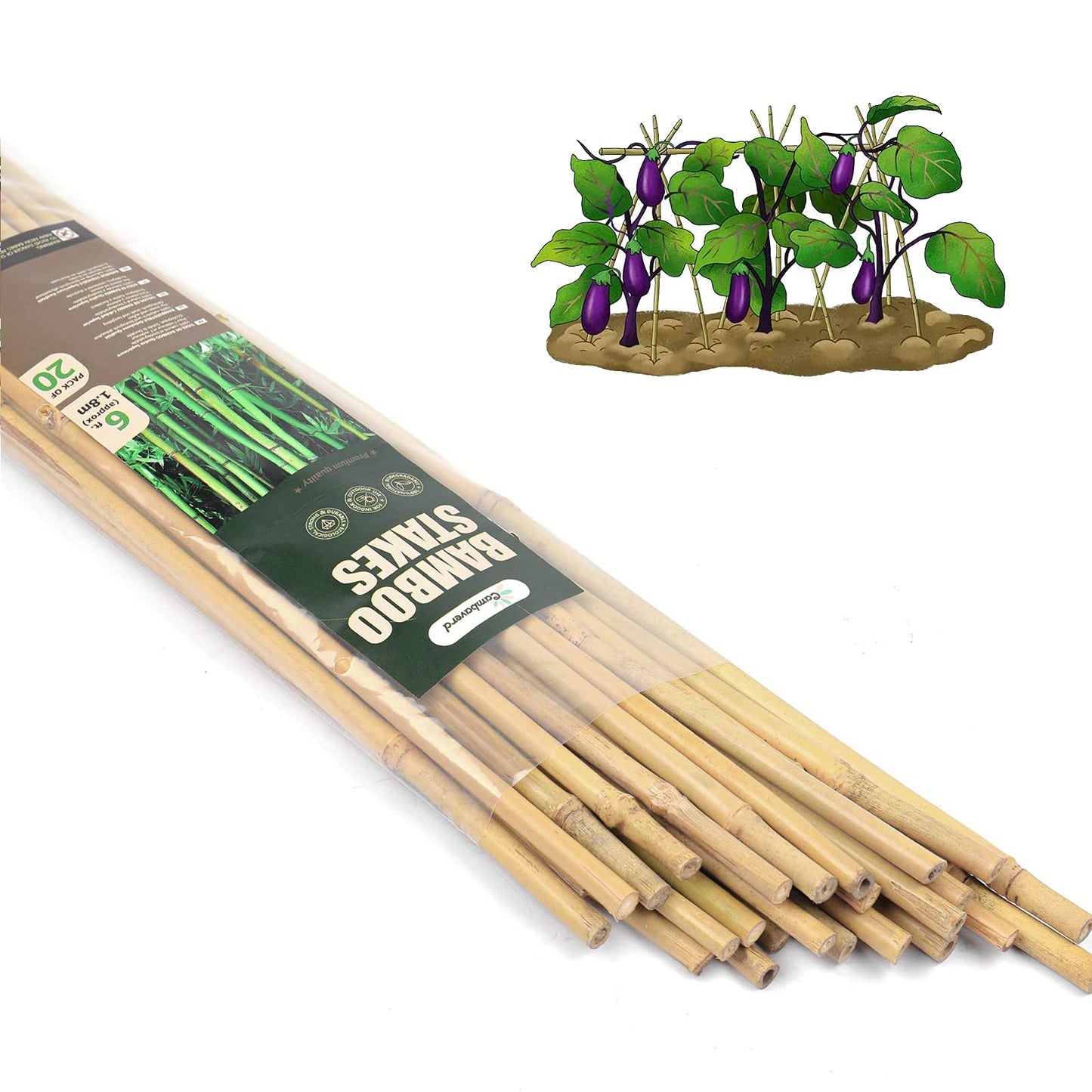 Cambaverd 6ft Bamboo Garden Stakes Eco-Friendly Plant Stakes 6 Feet, Bamboo Poles for Tomatoes Beans Climbing Plants Support - Pack of 20 Bamboo Stakes