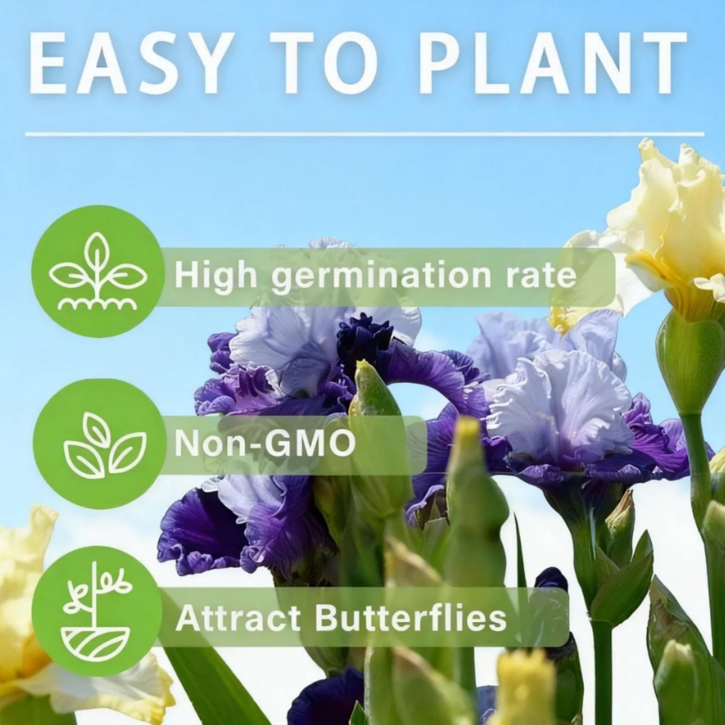 mkiytfdn Elephant Ear,Giant Tropical Foliage for Year After Year Garden Growth-6BULBS-B