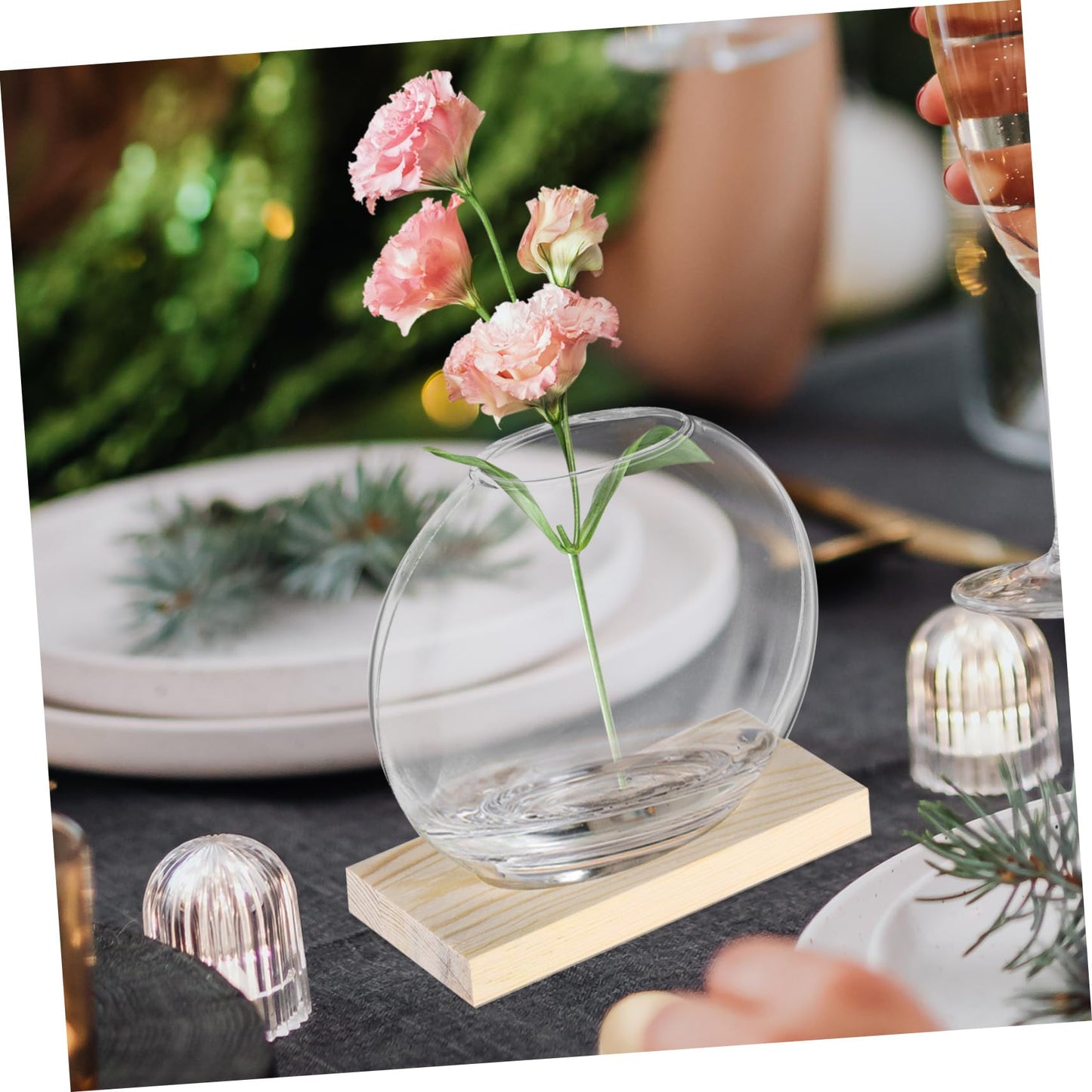 MERRYHAPY 2sets Glass Base for Plant Propagation Stylish Terrarium for Decor for Hydroponic Plants and Floral Displays