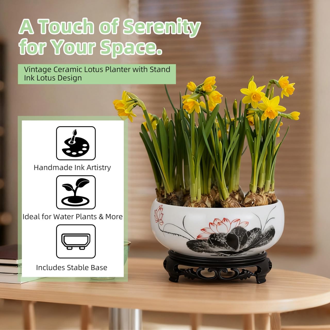 Homoyoyo Plant Container Bowl Ceramic Succulent Pots Decorative Glazed Shallow Succulent Planter with Base Stand for Home Desk Decor