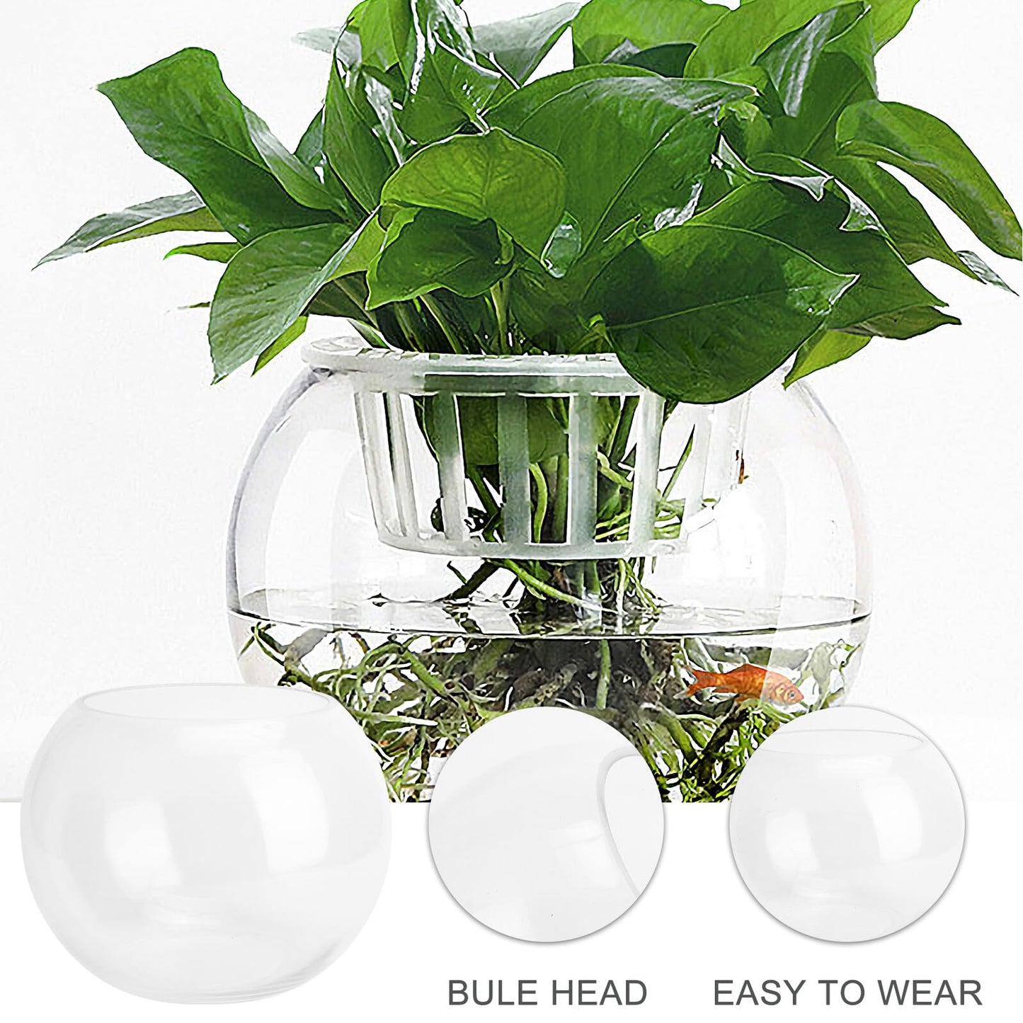 Healeved Glass Hydroponic Plant Vase 20cm Round Fish Tank Terrarium Holder Desktop Flower Pot for Home Office Decor