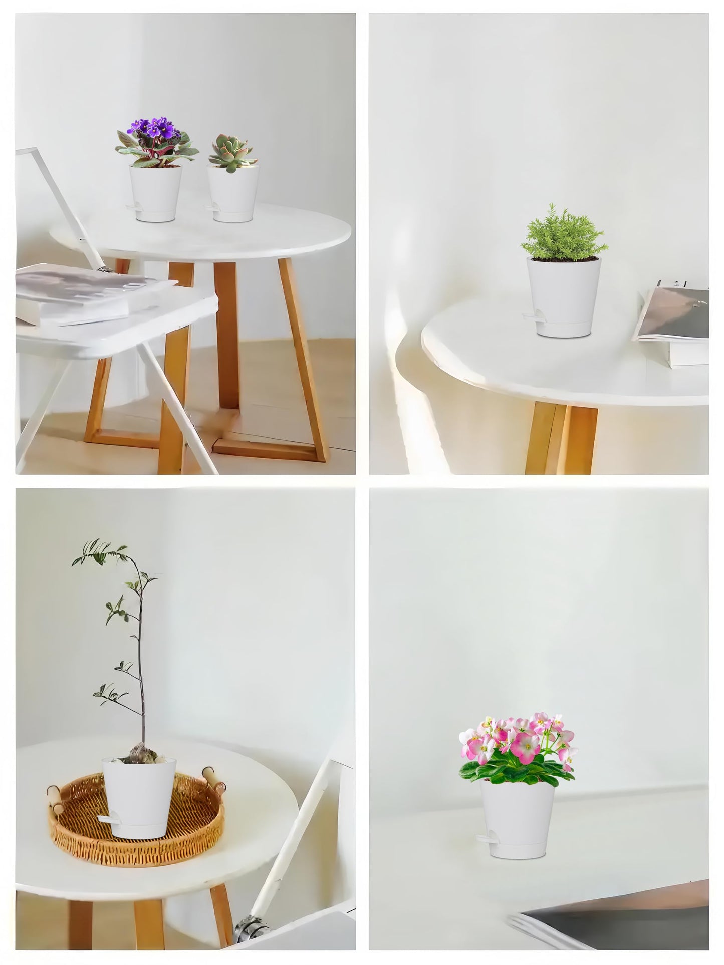 zople 5 Pack 5 inch Self-Watering Pots, African Violets Planter with Drainage Holes and Reservoir, White Plastic Planter for Indoor Outdoor Plants Flowers and Houseplants White, 5 inch 5 pcs