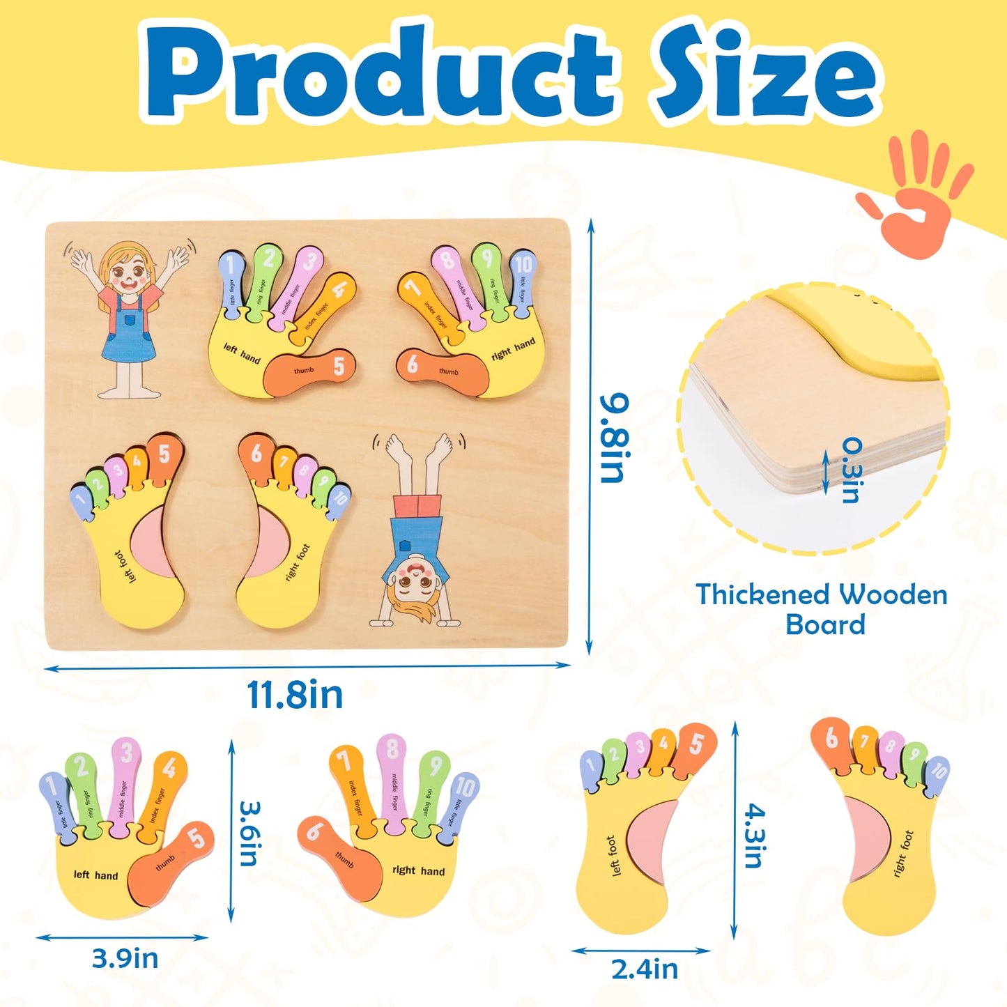 Adena Montessori Number Counting Blocks - Wooden Hands and Feet Shape Toy for Kids, Sorting & Counting Math for Home Classroom, Learn Numbers & Left and Right with Safe Wooden Blocks for Toddlers 3-4